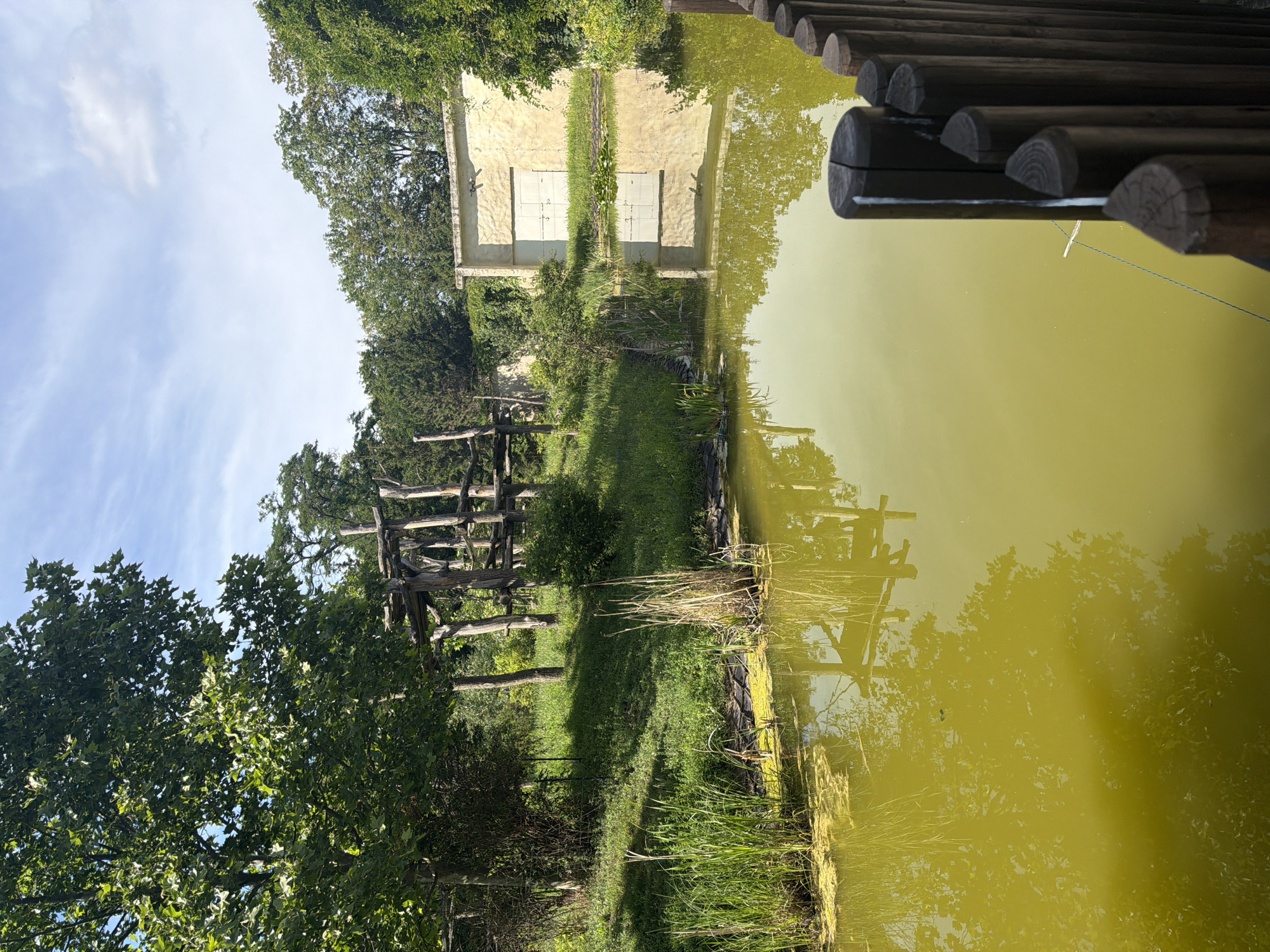 The image shows a landscape scene featuring a body of greenish water, a building, and a wooden structure. The water occupies the right side of the frame and reflects the surrounding trees and sky. A wooden dock or walkway made of logs runs along the top right edge of the image.
In the background, a pale, stucco-like building with two large, square windows or doors is visible. It is surrounded by lush green trees and vegetation. To the left of the building and in the mid-ground, a rustic wooden structure, possibly part of an enclosure or an exhibit, is present. The ground in front of the building is covered in grass and some reeds grow along the edge of the water.
The sky above is blue with some wispy white clouds, suggesting it is daytime, likely sunny given the bright lighting and shadows. The overall impression is one of a natural or semi-natural setting, possibly a zoo enclosure, a park, or a lakeside area. There is no visible text in the image.