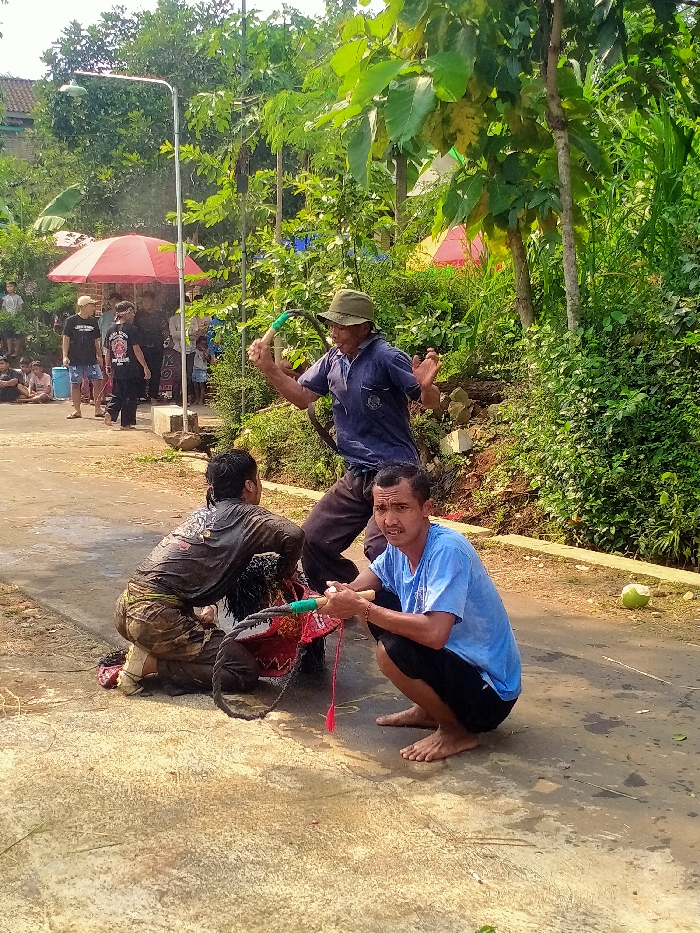 An outdoor scene in Gebyog, Indonesia, captures three adult males engaged in a performance or ritual on a dirt road, observed by onlookers. In the immediate foreground-right, a man in a light blue t-shirt and dark shorts squats barefoot, holding a red, white, and black decorated prop with black fibrous extensions, looking towards the viewer. Adjacent to him on the left, a man heavily splattered with mud crouches over the same prop, wearing a dark long-sleeved shirt and dark pants, his back partially to the viewer. Behind and slightly right of these two, an older man wearing an olive green hat, blue polo shirt, and dark pants stands with arms raised in a dynamic pose, holding a curved light green object in his right hand.
The ground around the crouching and squatting men is wet and muddy. In the mid-ground left, a small crowd of adults and children observes, with some standing near two red market-style umbrellas. A man in a black t-shirt and shorts holds a blue bucket among this group. A silver street light pole stands prominently on the left. The background and right side of the image are dominated by lush green foliage, trees, and bushes, indicating a verdant, possibly rural or semi-rural, environment. A green coconut lies on the ground on the far right.