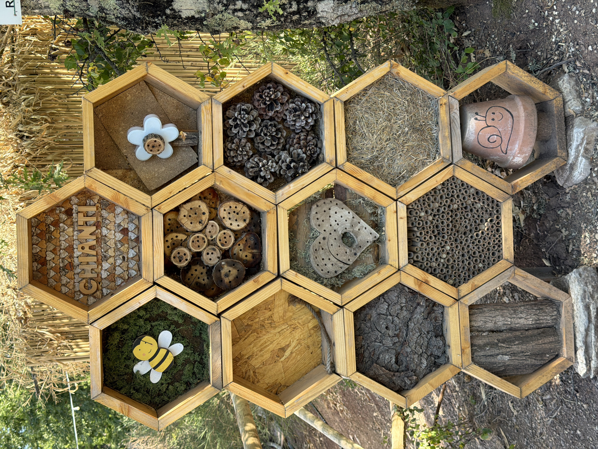 This image captures a meticulously crafted insect hotel, a hexagonal structure made of wooden frames, situated outdoors in Cavriglia, Italy. The hotel is designed with multiple compartments, each filled with materials intended to attract and shelter various insects.
The top row features a compartment filled with small, heart-shaped wooden pieces, inscribed with the word "CHIANTI". To its right, a white flower-shaped decoration with a central wooden dowel sits in a compartment backed with cork.
The second row displays a compartment filled with moss and a decorative yellow and black bee figure on the left. The central compartment contains numerous cross-sections of drilled wood pieces, likely for solitary bees. The rightmost compartment of this row is filled with pine cones.
The third row presents a large, empty hexagonal compartment on the left, with a rope coiled at the bottom. The central compartment contains a heart-shaped metal piece with cutouts, resting on moss. The right compartment of this row is filled with dried grass or hay.
The bottom row has a compartment on the left filled with rough tree bark. The central compartment is packed with hollow reeds or bamboo tubes, a common nesting material for insects. The rightmost compartment at the bottom houses an upside-down terracotta pot painted with a smiling snail.
The insect hotel is placed on a rocky base, surrounded by natural elements: dry ground, small plants, and the trunk of a large tree to the right. In the background, a fence made of dried bamboo stalks is visible. The lighting suggests it is daytime, with sunlight casting shadows. The overall scene conveys a dedication to nature and biodiversity.