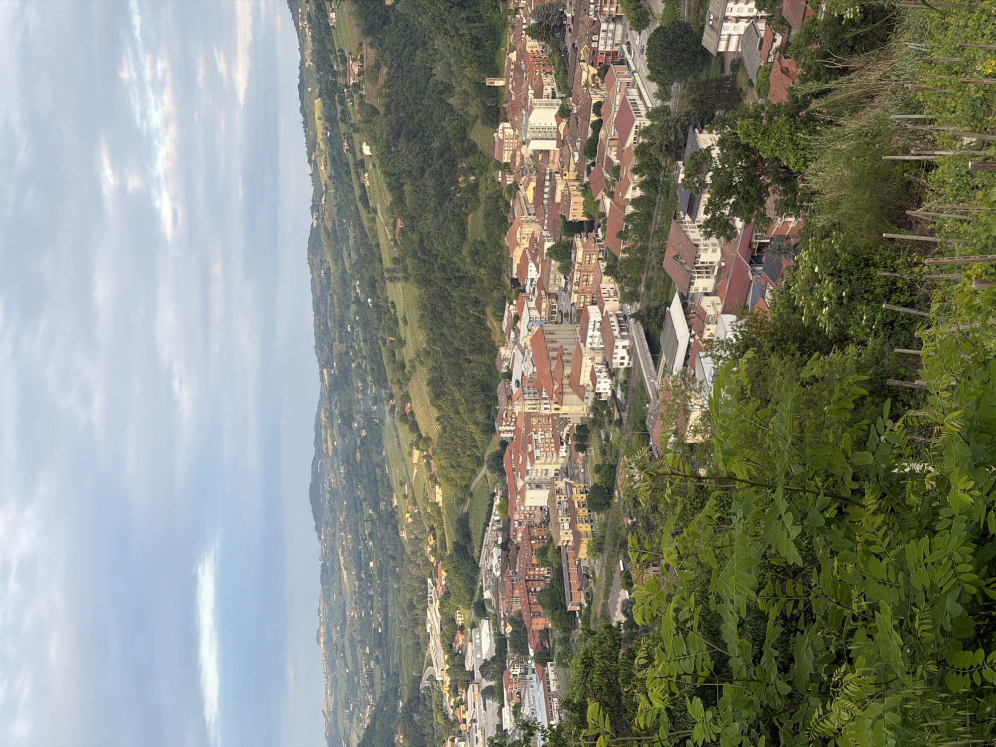 The image depicts a hillside view of a town, likely Santo Stefano Belbo, Italy. The town features buildings with reddish-brown rooftops, interspersed with greenery and trees. In the distance, a valley and a series of hills are visible under a cloudy sky. Green foliage is prominent in the foreground, obstructing some of the view. The photograph seems to have been taken from an elevated vantage point. The overall landscape suggests a rural or semi-rural setting with urban development. The composition is oriented vertically.