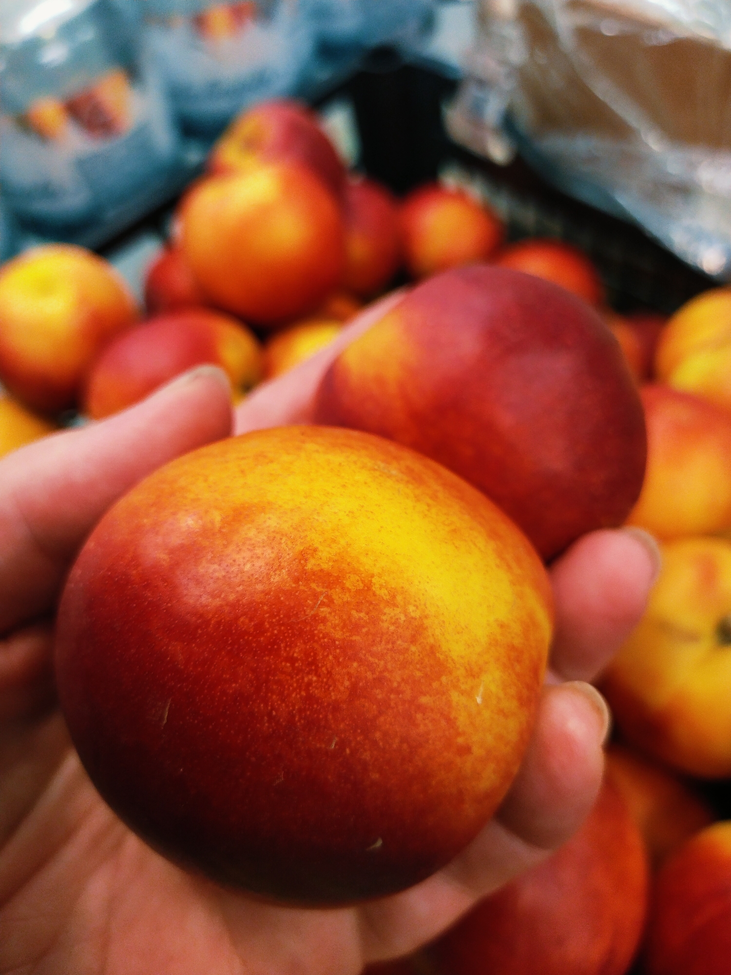 In Horishni Plavni, Ukraine, a close-up shot captures a person's hand holding two nectarines against a blurred background of more nectarines. The nectarine in the foreground, held by the thumb and forefinger, displays a vibrant gradient of red and yellow, with a slightly textured skin. Another nectarine, mostly red with a hint of yellow, is visible to its right. The background is filled with out-of-focus nectarines of similar colors, and the overall lighting suggests an indoor environment, possibly a market or grocery store, with some plastic bags also faintly discernible.