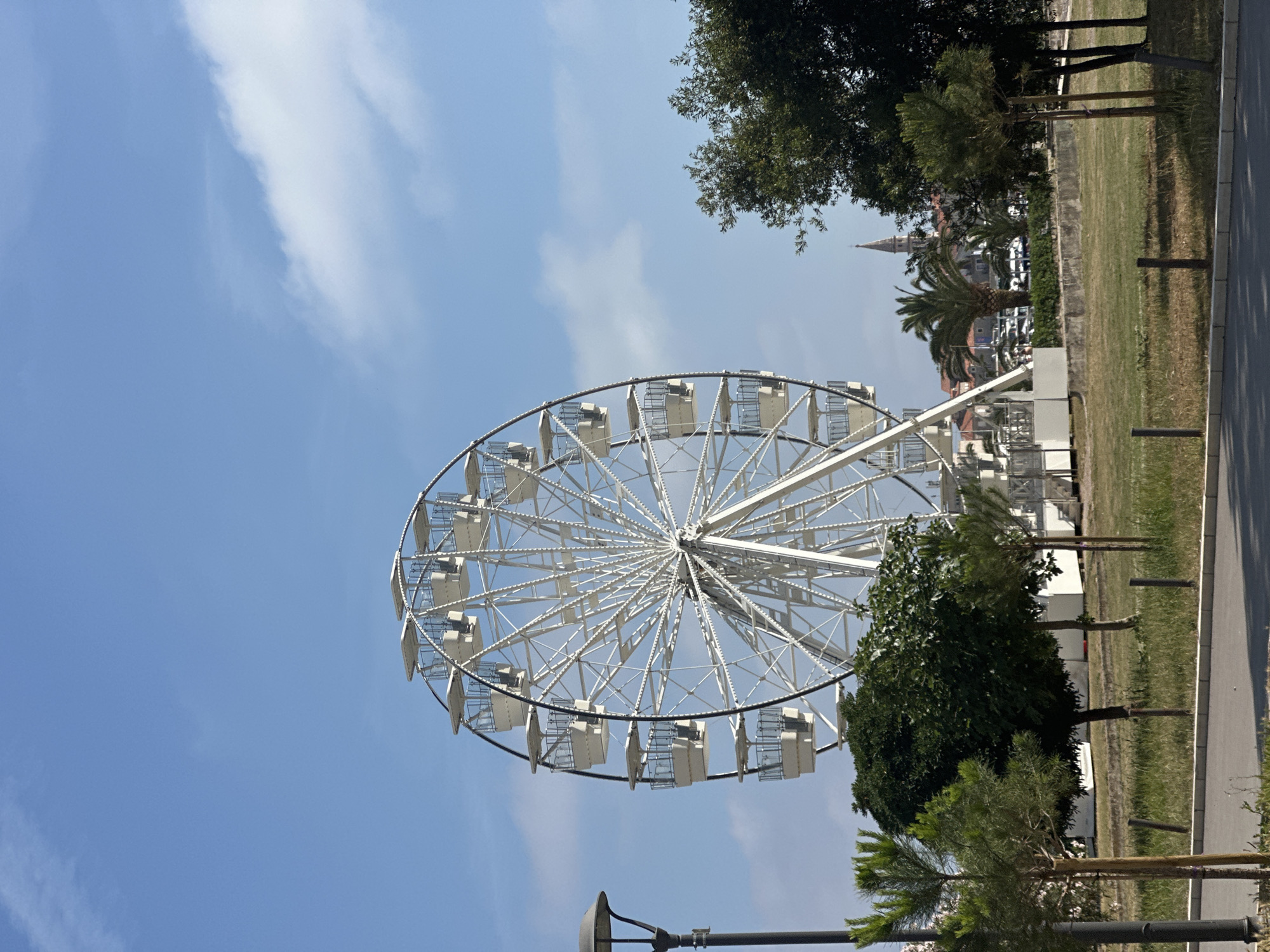 The image, taken in Budva, Montenegro, features a prominent white Ferris wheel set against a clear, bright blue sky with a few wispy white clouds. The Ferris wheel, with its intricate metal spokes and numerous white passenger gondolas, dominates the left and central parts of the frame. Its presence suggests a recreational or amusement setting.
To the right of the Ferris wheel, a paved pathway or road runs vertically, bordered by a strip of green grass. Several trees of varying types are planted along this grassy area, including some with dense dark green foliage and at least one palm tree. In the background, beyond the trees and parts of the Ferris wheel structure, various buildings with red rooftops are visible, indicating a town or city environment. A distinctive church steeple or tower with a pointed top can be seen rising above the distant buildings, partially obscured by the foliage.
The bright conditions and clear sky indicate it is daytime, likely a sunny morning or afternoon. No people are visible, and no specific activity is explicitly taking place beyond the stationary scene. A portion of a street lamp is visible in the bottom left corner. There is no visible text in the media file. The overall atmosphere is calm and bright, showcasing a picturesque urban scene.