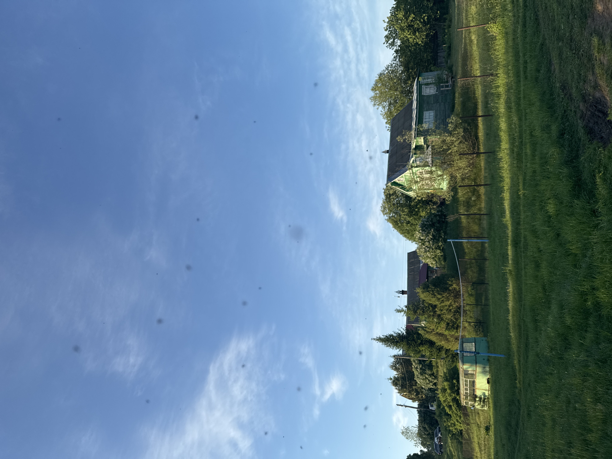 The image shows a rural landscape in Egorii, Russia under a bright, slightly cloudy sky. The foreground is dominated by a grassy field, transitioning to a line of trees and structures in the midground. Two buildings are visible, both painted a faded green and appearing old. A chain-link fence runs parallel to the buildings, suggesting a boundary or property line. Further back, more trees and foliage complete the scene. The overall impression is of a quiet, somewhat neglected rural setting.