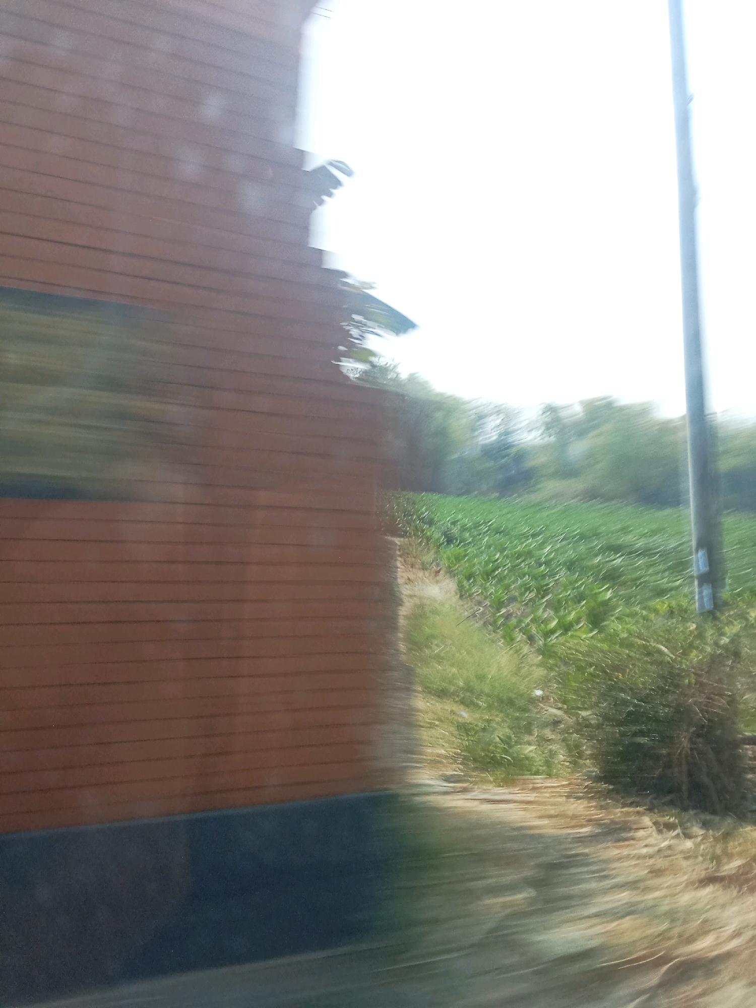 This is a blurry, horizontal motion-blurred image taken from a vehicle traveling through a rural area. On the left side of the image, there is a portion of a brown, wooden structure, possibly a building or fence. To the right of this structure is a field of green crops, likely a farm, with lush vegetation. In the background, trees and foliage are visible, and the sky is bright and washed out, suggesting daylight. A utility pole with some attachments is also present on the right side of the frame. The overall scene depicts a glimpse of the Indonesian countryside, possibly near Sumberringin, Indonesia, characterized by agricultural land and natural elements, captured during a swift passage.