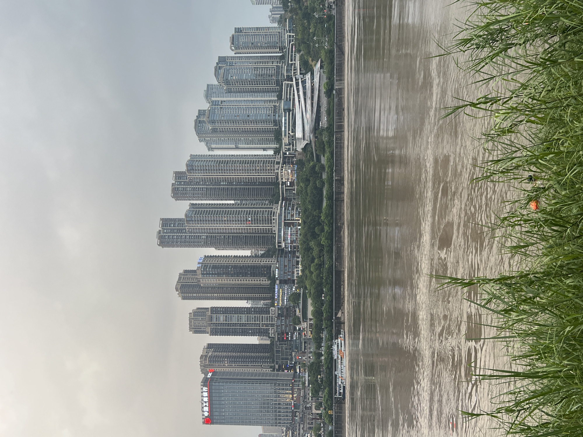 The image depicts a wide, brown river flowing in the foreground, with a cityscape of numerous tall buildings lining the opposite bank, characteristic of the Jiangbeicheng Street area in China. The sky is overcast and grayish. In the middle ground, a white boat with orange accents is moving on the river. The buildings are a mix of modern skyscrapers with glass facades and some older structures. Green trees and vegetation are visible on the slopes leading up to the buildings. The river surface is rippled, reflecting the muted light and the buildings. In the extreme foreground, tall green grass is growing along the riverbank.