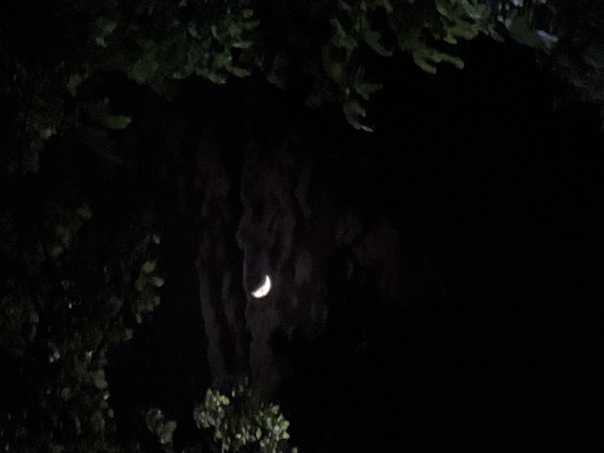 A crescent moon is visible in the night sky, partially obscured by dark clouds. Silhouettes of tree branches frame the scene from the left and right sides. The overall atmosphere is dark and slightly mysterious. The location is stated to be Mzetamze, Georgia.