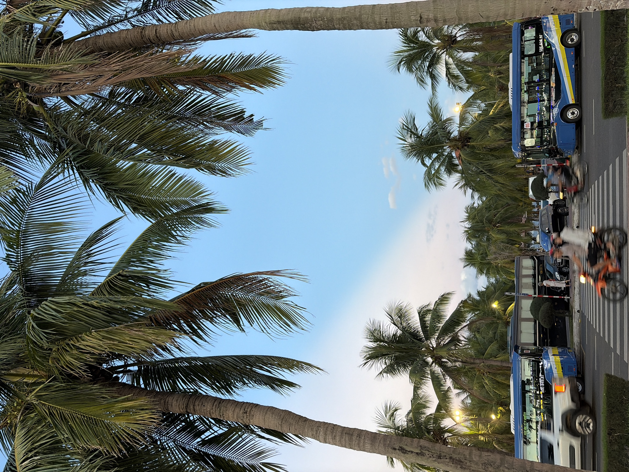 The image depicts a street scene in Da Nang, Vietnam, with a prominent line of palm trees framing the view. The sky is a clear, pale blue, transitioning to a lighter hue near the horizon. In the foreground, a pedestrian crossing is visible on a paved road. Several vehicles are present, including two buses, one blue and one black, parked alongside the road. A white SUV is moving across the pedestrian crossing, its motion blurred. To the right of the buses, a person stands near a lamppost. In the center foreground, two individuals on a motorcycle are also captured in motion. The overall impression is a snapshot of urban life with a tropical ambiance.