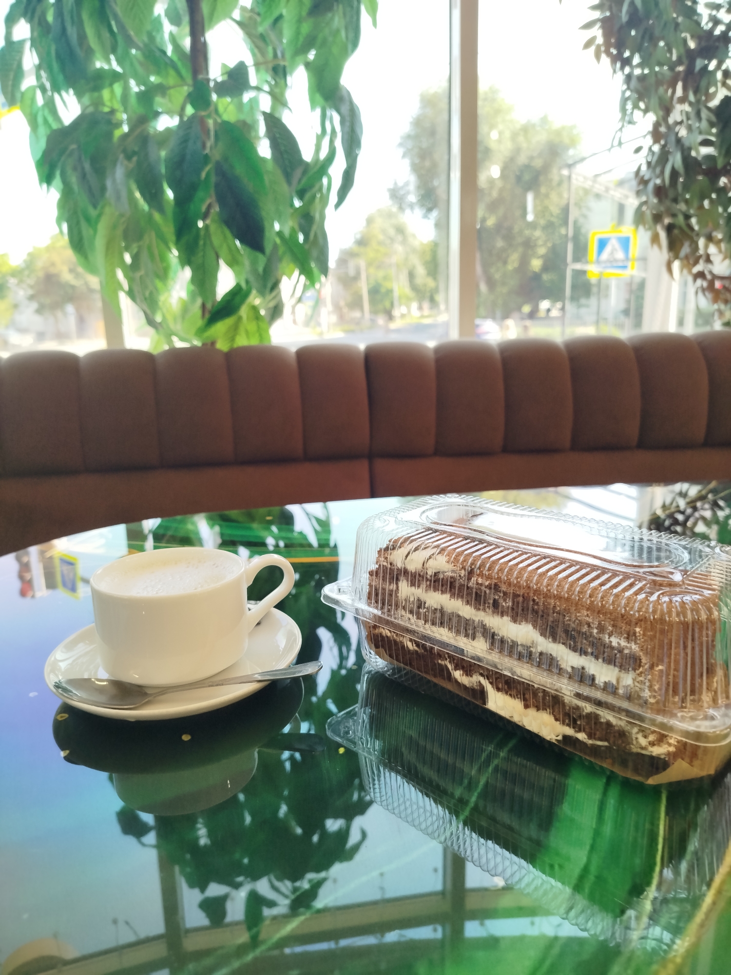 In Taganrog, Russia, a slice of chocolate cake in a clear plastic container rests on a reflective green glass table. To the left, a white teacup filled with a frothy beverage sits on a saucer, accompanied by a spoon. Behind the table, a brown padded bench lines a window that offers a view of trees and a pedestrian crossing sign. Two potted plants are visible, one on the left and another on the right, framing the scene. The lighting suggests it is daytime, and the overall atmosphere is that of a cafe or restaurant.