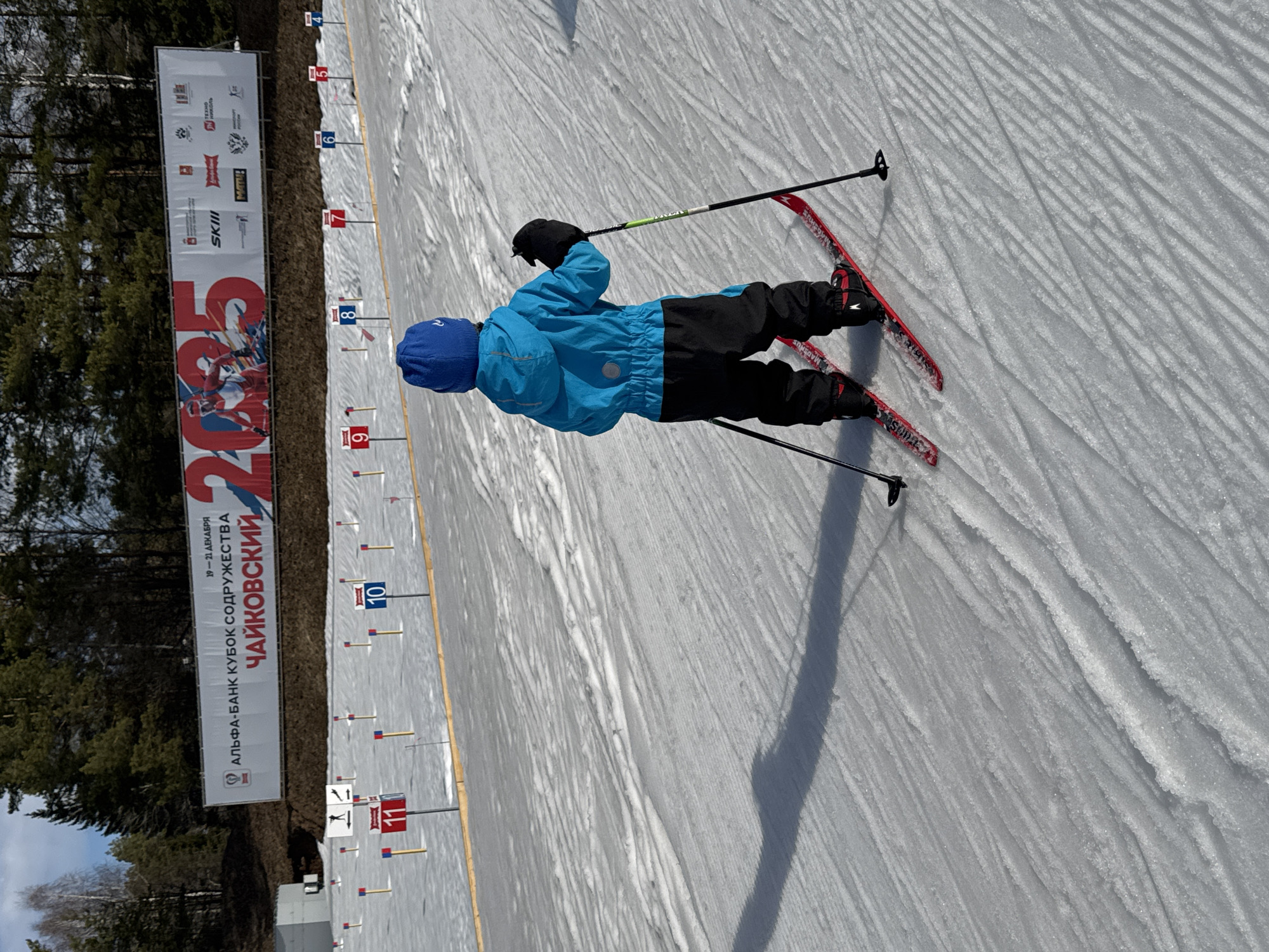 This image depicts an outdoor winter scene on a groomed cross-country ski track in Russia. The banner identifies the event as occurring in Chaykovsky, a city in Perm Krai located within the broader Prikamye region.
A young child, viewed from behind, stands centrally on red skis, wearing a blue knit hat, a bright blue winter jacket, black ski pants, and black gloves, holding black ski poles with green accents. The child's long shadow stretches across the snow-covered ground, which features parallel grooming marks from track preparation.
In the mid-ground, a series of numbered markers (4 through 11, with 10 and 11 most prominent) are systematically arranged on yellow poles across the snowy terrain, indicating lanes or positions. One marker near position 11 also displays a black silhouette of a skier. A narrow yellow line defines a section of the track.
The background features a large white banner displayed on a dark embankment. The banner advertises the "Alfa-Bank Commonwealth Cup" (АЛЬФА-БАНК КУБОК СОДРУЖЕСТВА) scheduled for "December 19-21" (19 – 21 ДЕКАБРЯ) in "Chaykovsky" (ЧАЙКОВСКИЙ), prominently featuring "2025" with stylized skiers and various sponsor logos including SKII and Match TV. Behind the embankment, a dense forest composed primarily of pine trees with some bare deciduous trees extends under a partially cloudy blue sky. Small white utilitarian structures are visible to the far left in the distance.