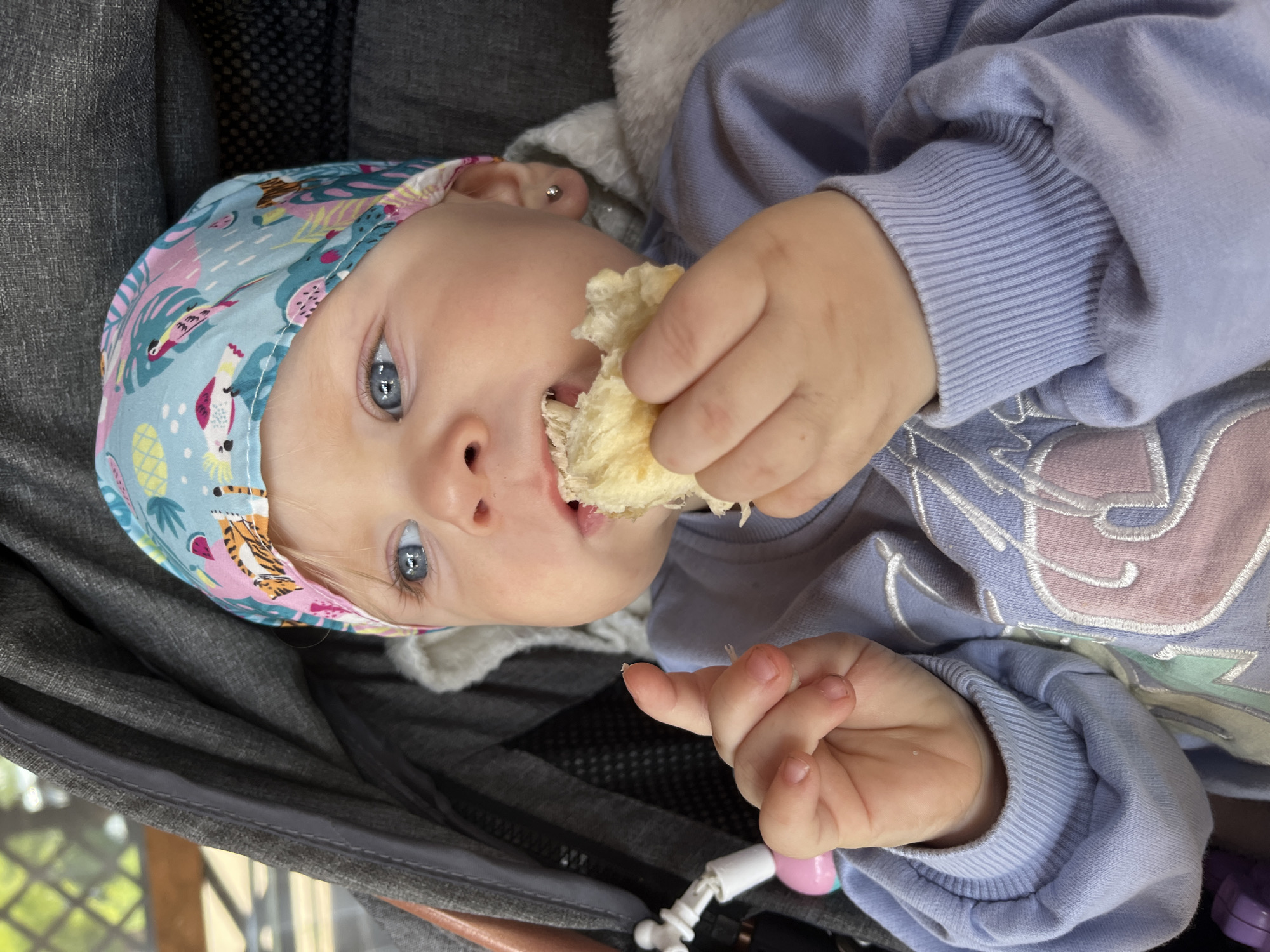 A close-up, over-the-shoulder shot captures a baby with bright blue eyes, wearing a colorful bandana with a tropical print and a pale lavender sweatshirt. The baby is seated in a stroller, partially visible with gray fabric and a fuzzy white lining. The baby is actively eating a piece of bread, holding it with their right hand. The background shows hints of greenery and what appears to be a wooden structure, suggesting an outdoor setting. The scene is likely in the city of Fokino, Russia.