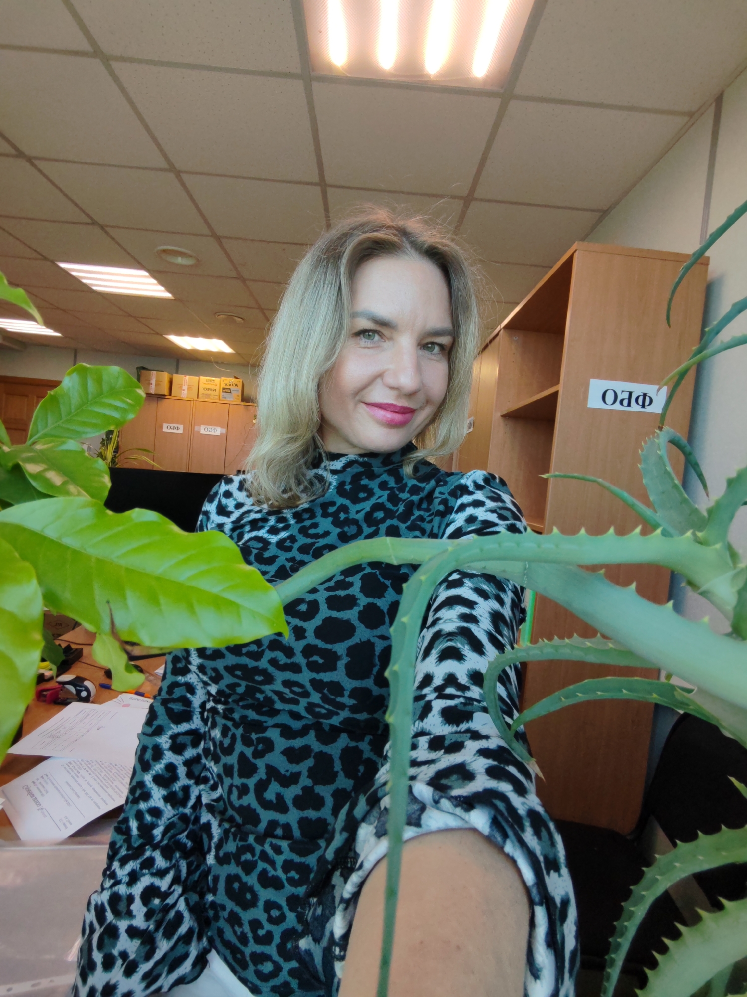 A woman with blonde hair, styled to her shoulders, is taking a selfie in what appears to be an office setting. She has fair skin, green eyes, and is wearing pink lipstick. Her expression is a gentle smile. She is dressed in a long-sleeved top with a black and grey/teal leopard print pattern.
The photo is taken from a slightly high angle, looking down towards her and the desk. Her right arm is extended, holding the camera, with the sleeve of her top visible in the foreground on the right.
Two plants frame her: a leafy green plant with broad leaves is on her left (viewer's left), partially obscuring the background. Another plant, possibly an aloe vera with spiky, succulent leaves, is on her right, extending into the foreground.
Behind her, typical office elements are visible. The ceiling is made of light-colored acoustic tiles with fluorescent strip lights providing illumination. On the right, there's a wooden shelving unit or cabinet with some empty shelves. A label with the Cyrillic text "ОАФ" (OAF) is affixed to the side of this unit, and another "ОАФ" is visible on a cabinet door further back on the left. On top of the cabinets in the background, several cardboard boxes are stacked. One box clearly shows the brand "KIXX" in reversed text, indicating it's printed on the box's underside or read through a transparent material. On the desk to her left, papers and some office supplies (like a stapler and pen) are visible.
The overall impression is a casual, indoor scene, likely during working hours.