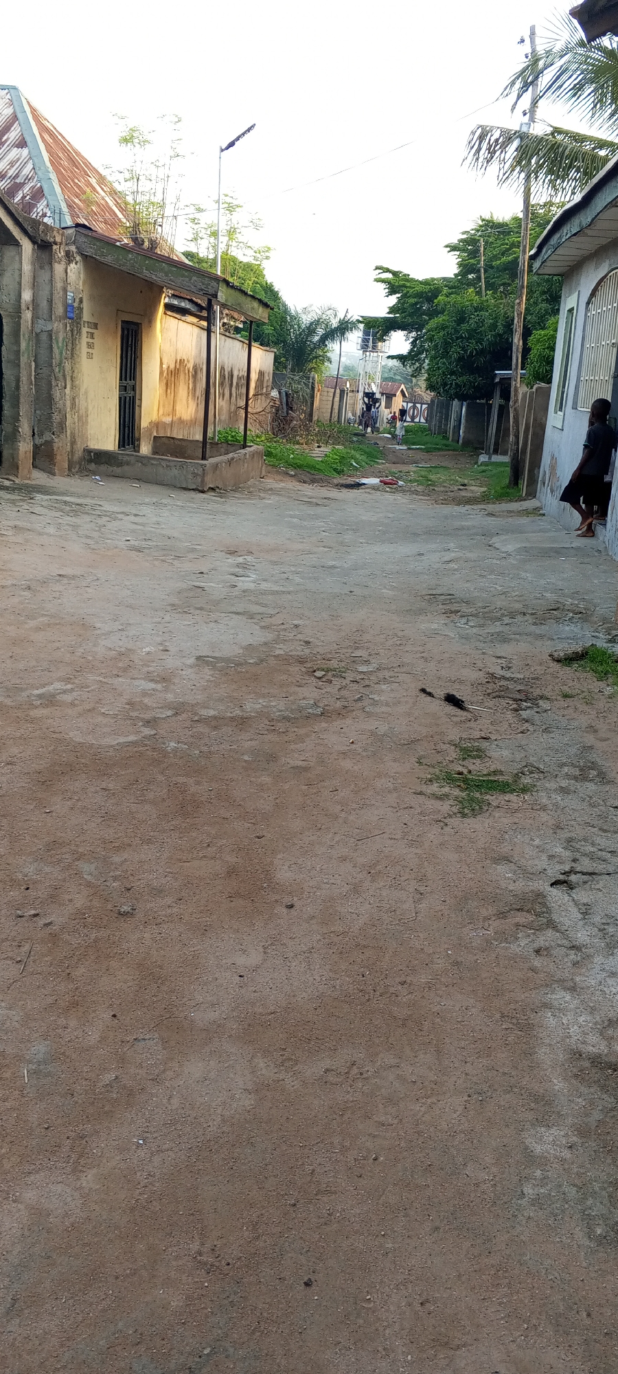 The image depicts a street scene in Jalingo, Nigeria, likely a residential or mixed-use area. The foreground is dominated by a dirt and gravel road with patches of concrete and dust. To the left, a yellow-painted building with a corrugated metal roof shows signs of age and weathering. A metal-barred door is visible on this building. To the right, another building with white-painted walls and a metallic roofline extends into the frame.
Further down the street, several structures are visible, including buildings with corrugated roofs and what appears to be a water tower. A group of people, including at least two children and one adult, are walking away from the camera towards the buildings in the distance. One child is wearing a dark shirt and shorts and is leaning against the wall of the building on the right. The overall environment suggests a warm climate with sparse vegetation, including palm trees and other leafy plants lining the sides of the street. A street light is mounted on a pole in the middle ground. The sky is bright and overcast, suggesting it might be early morning or late afternoon.