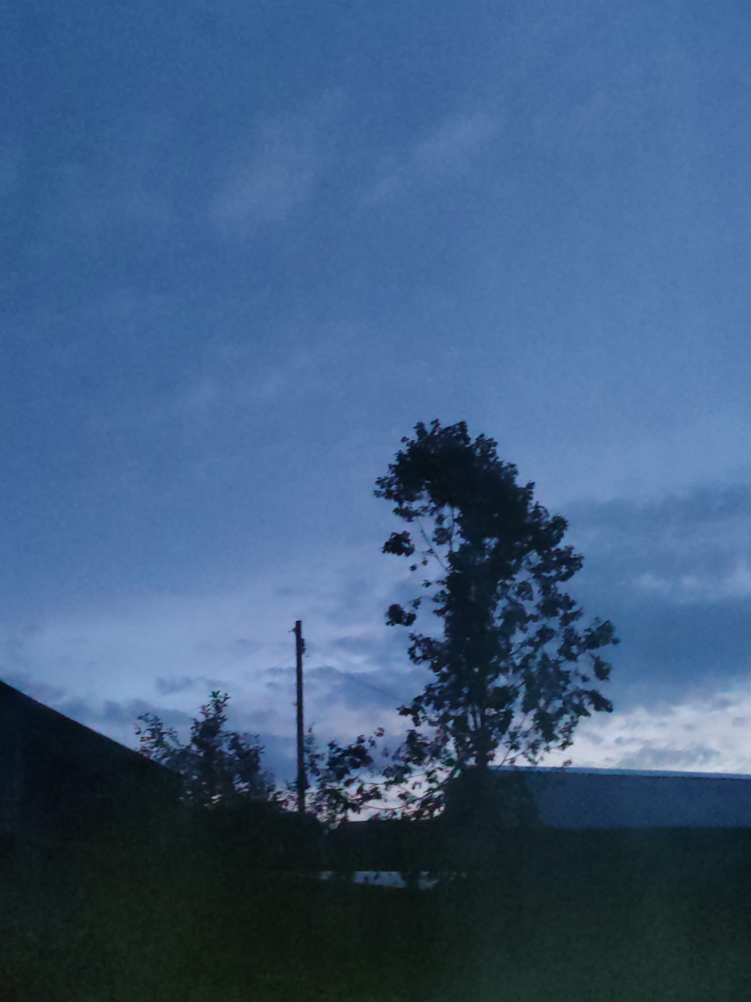 The image depicts a twilight scene with a dark blue sky, sparsely populated with wispy clouds. In the foreground, the dark silhouettes of structures and vegetation are visible. A portion of a dark roofline runs diagonally from the lower left towards the center-right of the frame. A tall, slender pole stands vertically near the center, partially obscured by trees. To the right of the pole, a silhouetted tree with dense foliage extends upwards, its branches reaching towards the sky. The overall atmosphere is dim and somewhat hazy, consistent with early morning or late evening light. The location is identified as Chukhlem, Russia.