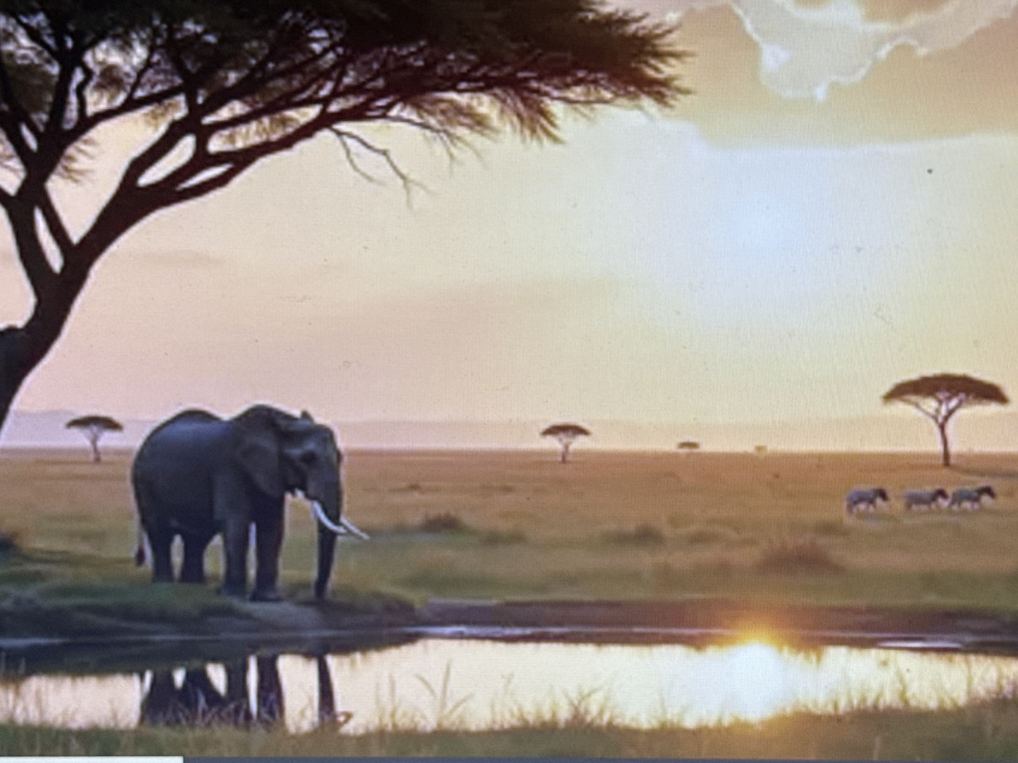 An elephant stands near the edge of a body of water, its reflection visible in the still surface. The scene is set in a savanna landscape with scattered acacia trees and sparse grass. In the distance, several zebras are grazing. The sky is a pale orange, suggesting either sunrise or sunset, with soft clouds. A large tree with dark foliage dominates the left side of the frame. The image does not depict the city of Pushkino, Russia.