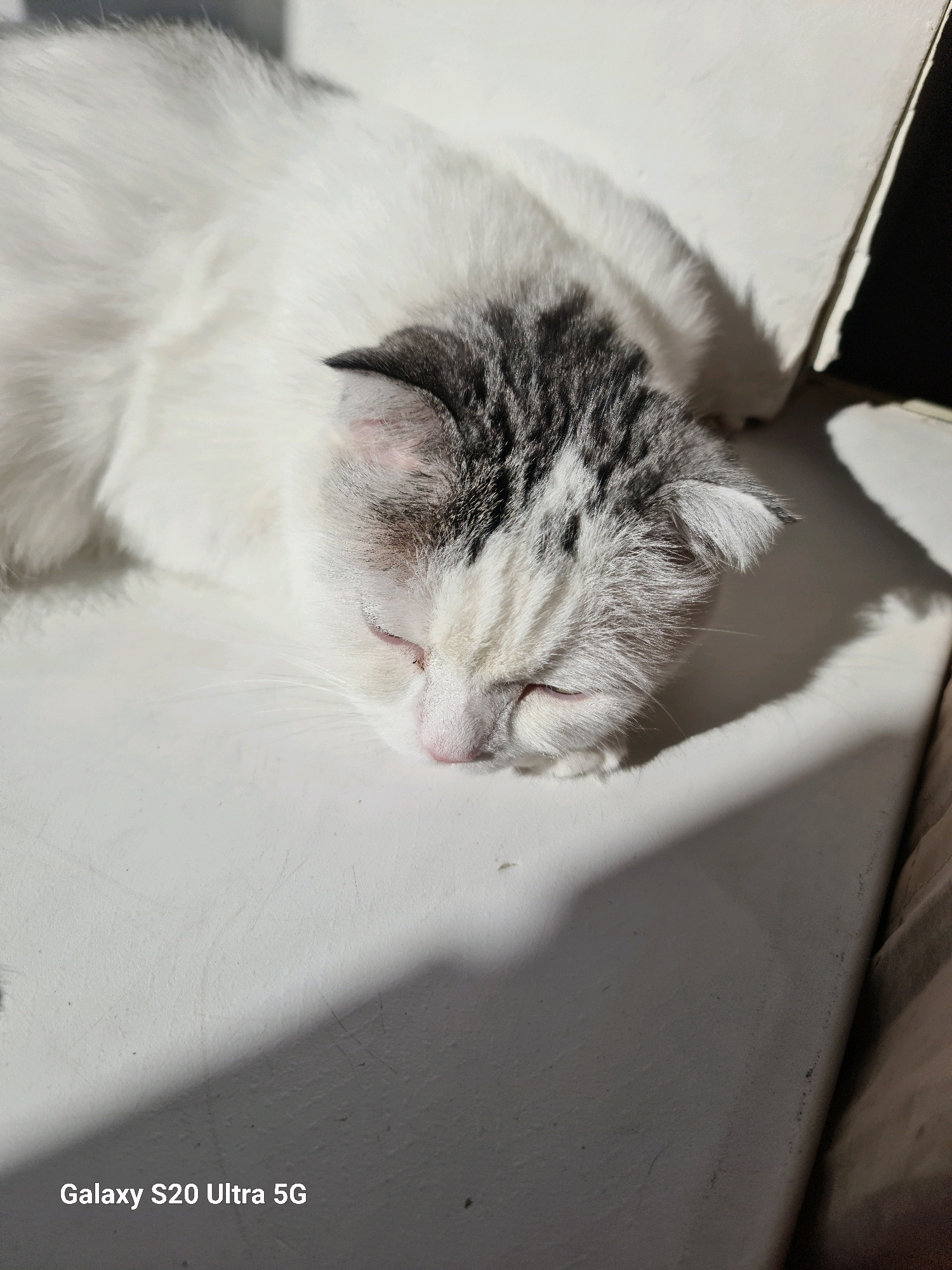 A white cat with gray markings is sleeping on a white surface, likely a windowsill, with harsh shadows cast across it, suggesting bright sunlight. The cat's eyes are closed, and its head is resting down. The background is a blurred white wall. The bottom right corner of the image contains the text "Galaxy S20 Ultra 5G". The image appears to be a close-up shot of the cat. The location is not specified in the image itself, and therefore, it cannot be determined to be in Astana, Kazakhstan.