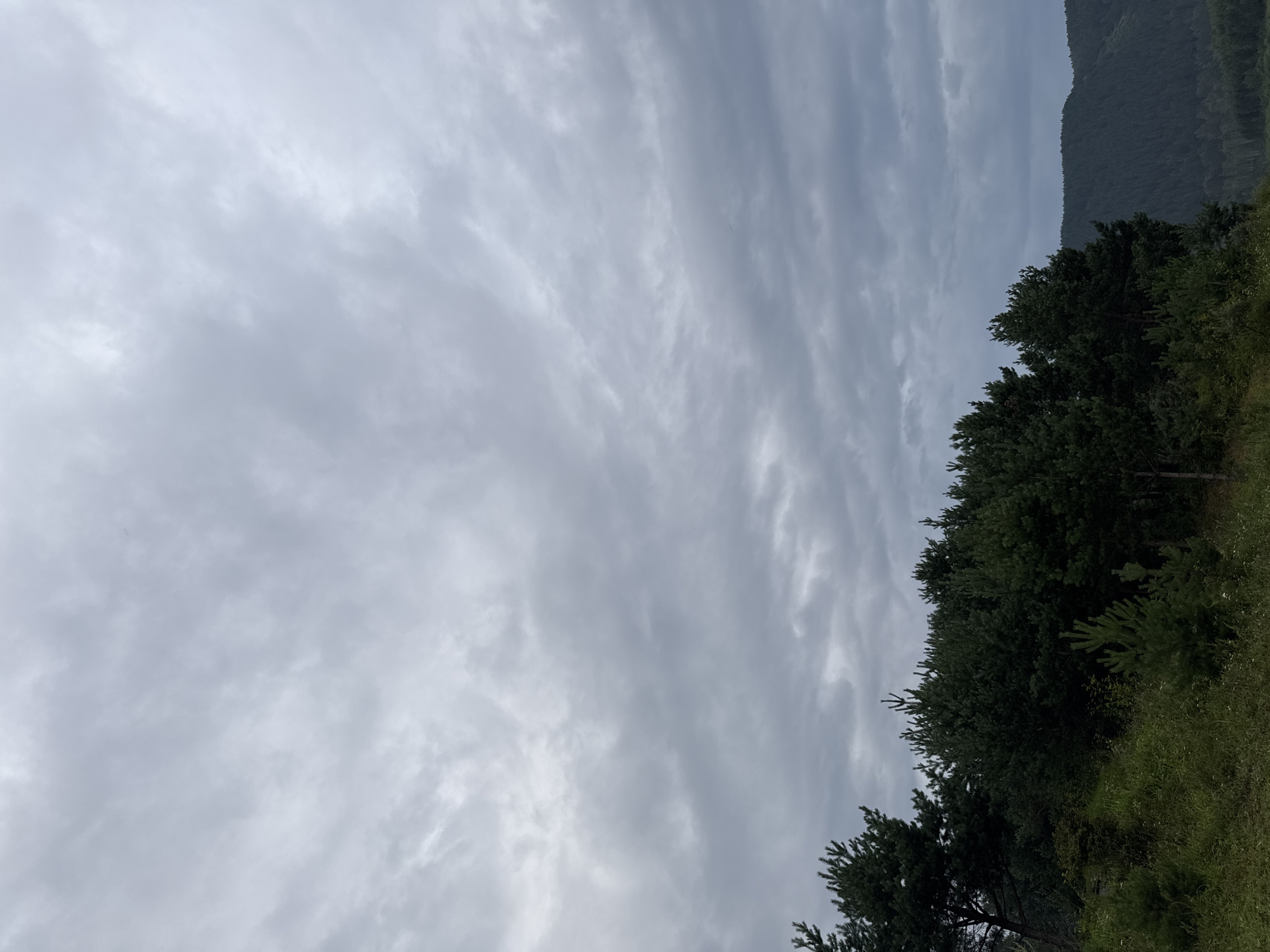 The image shows a forested hillside under a cloudy sky. The foreground features green grass and various evergreen trees, including pine trees of different sizes. In the mid-ground, a dense forest of dark green trees covers the slope, extending to the horizon. In the background, a series of rolling hills, also covered in dense forest, recedes into the distance. The sky is overcast with numerous grey clouds, suggesting a potentially gloomy or rainy day. The image appears to be a landscape photograph taken outdoors, likely in a natural setting with minimal human presence or man-made structures visible. The location is identified as Ust'-Mana, Russia.