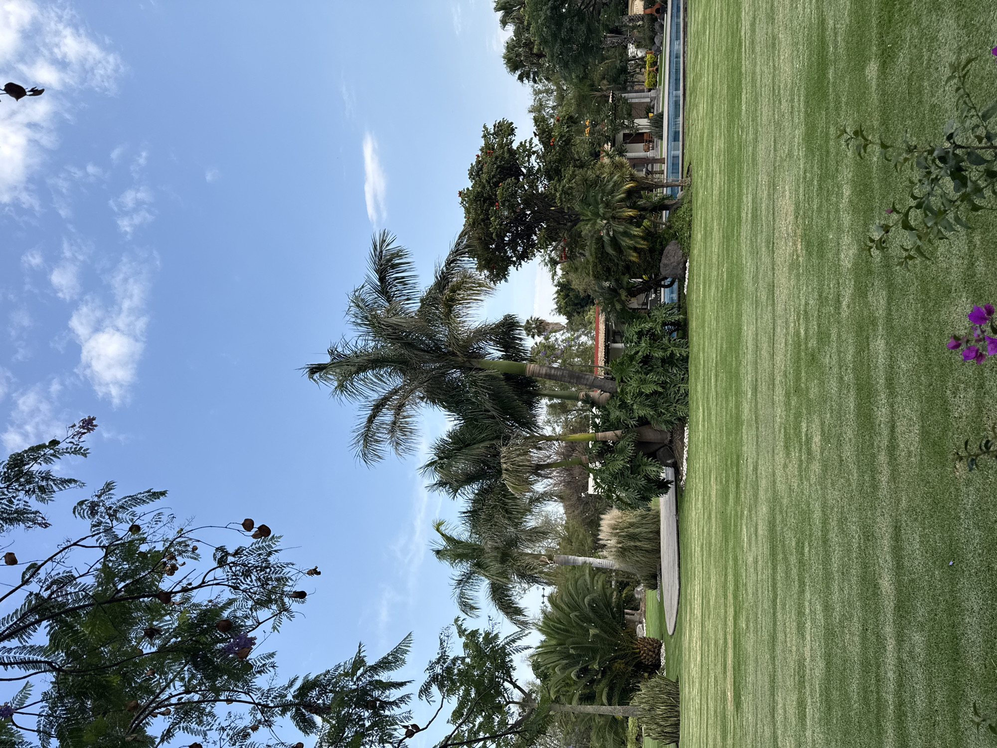 The image depicts a park scene in Santa Ana Yancuitlalpan (Chilhuacán), Mexico, featuring a well-maintained green lawn. Several palm trees are interspersed among other trees with varying foliage. A structure with a swimming pool can be observed in the background, partially obscured by the vegetation. The sky is a clear blue with scattered clouds. The photograph is taken during daylight, and the orientation is such that the ground appears to be vertical. There are no people visible in the frame.