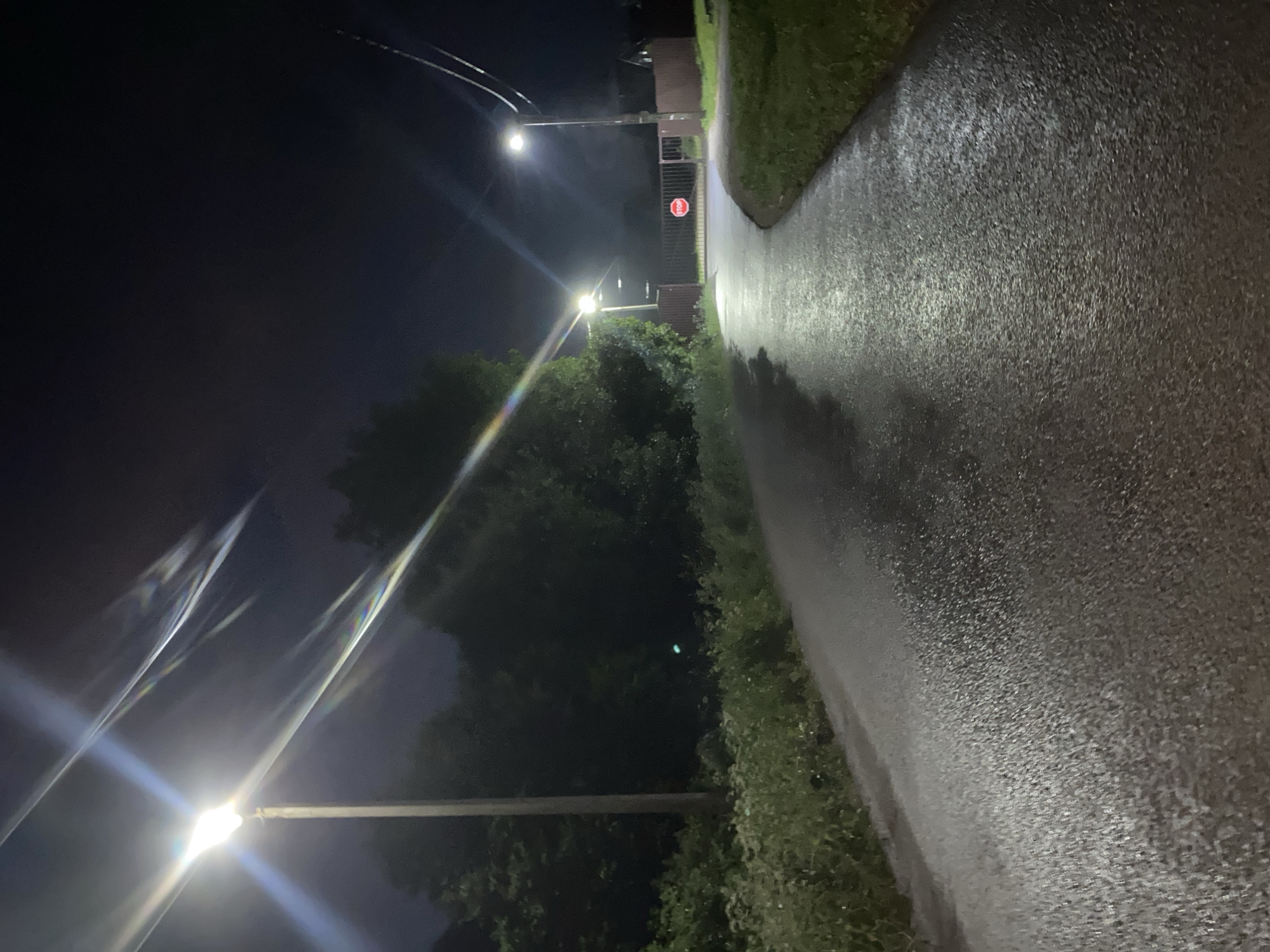 A wet, paved road curves to the right at night. The road is illuminated by streetlights and reflects the light. On the left side of the road, there is dense foliage and trees. On the right side, there is a metal gate with a stop sign. Beyond the gate, there are buildings and more trees. The sky is dark, with some visible light streaks from the streetlights. There are no people or animals visible in the scene. The location is described as Unknown, Unknown.