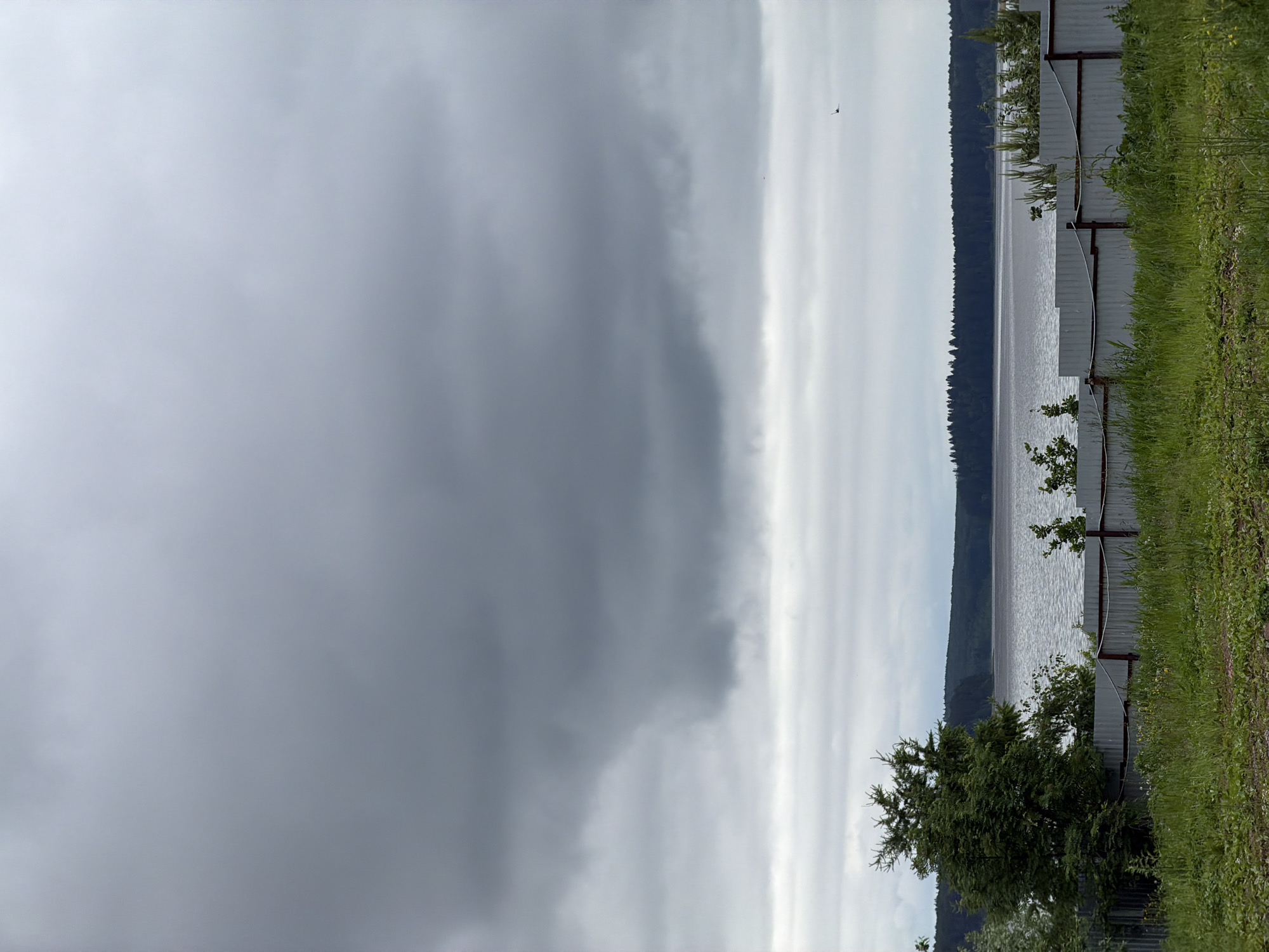 The image displays an overcast landscape in Votkinsk, Russia, presenting a view across a large body of water, likely the Votkinsk Reservoir. The upper portion of the scene is dominated by heavy, dark gray stratocumulus clouds, transitioning to lighter, layered stratus clouds closer to the horizon. A small, dark avian subject is visible in flight against the lighter sky in the upper right quadrant. The middle ground features the expansive water body, its surface exhibiting ripples and reflecting the subdued gray tones of the sky. A dense, dark green treeline, characteristic of coniferous forest, establishes the distant shoreline. The foreground is marked by a light gray corrugated metal fence running horizontally, supported by dark, vertical posts between which a white rope or cable is strung. In front of the fence, the ground is covered with green grass and various wild plants. A large, dark green conifer tree is prominently positioned on the left side, partially obscuring the fence. No human subjects or their direct interactions are present in the frame.