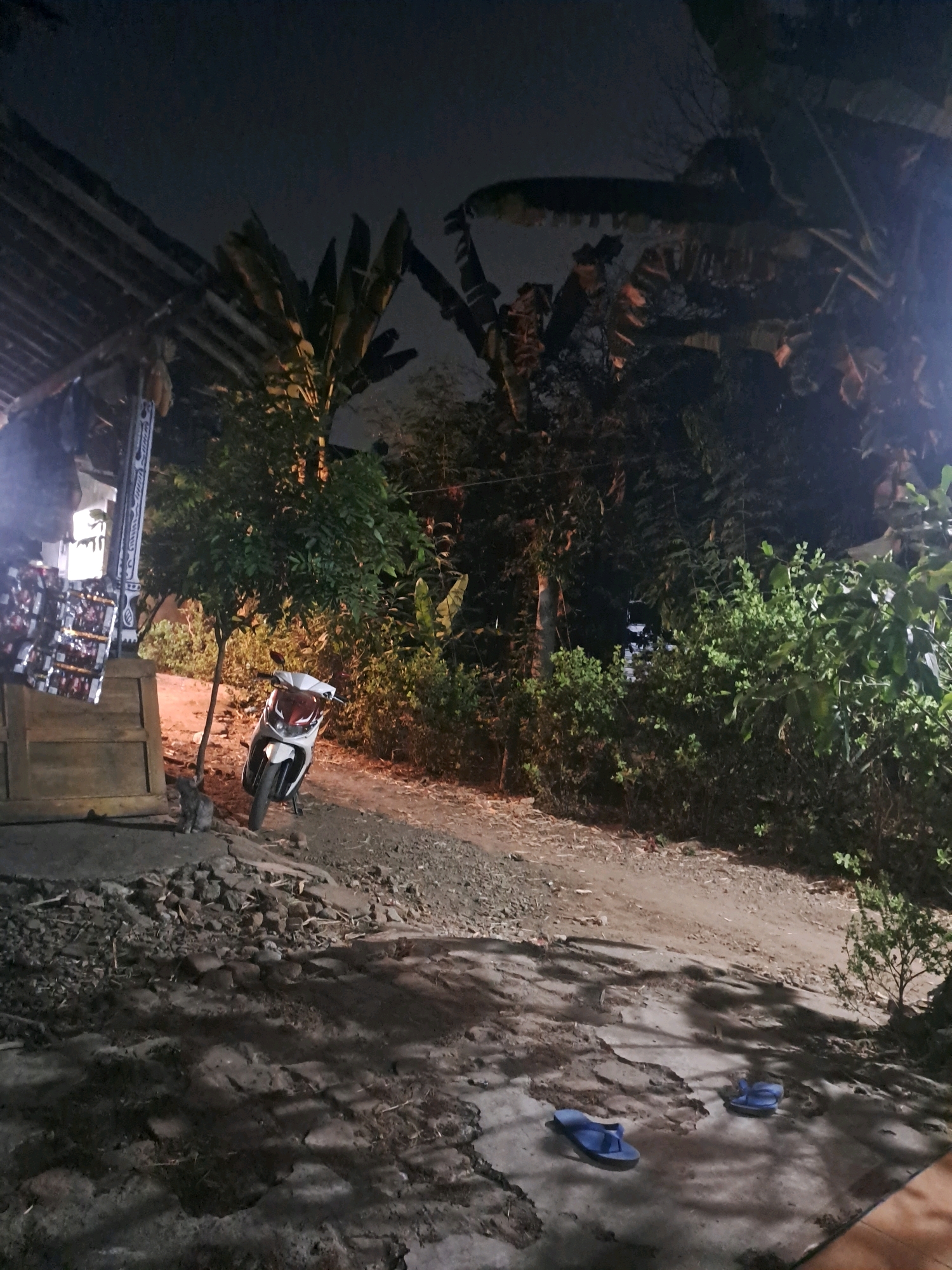 The image depicts an outdoor scene at night, likely in Sumberejo, Indonesia, characterized by a low-lit environment with artificial lighting casting shadows. In the foreground, two blue flip-flops are placed on a cracked concrete surface, casting long shadows. Adjacent to this, a dirt path leads away from the viewer. To the left, a small, white and red scooter is parked next to a slender tree. Behind the scooter, a gray cat sits on the ground near a wooden structure with what appears to be stacked items on shelves. Further back, lush green vegetation dominates the scene, with large leaves of what could be banana plants visible in the mid-ground and background. A dark, uneven roofline is visible in the upper left portion of the image, suggesting the presence of a building or shelter. The overall atmosphere is nocturnal and somewhat rustic, with a blend of man-made objects and natural elements.