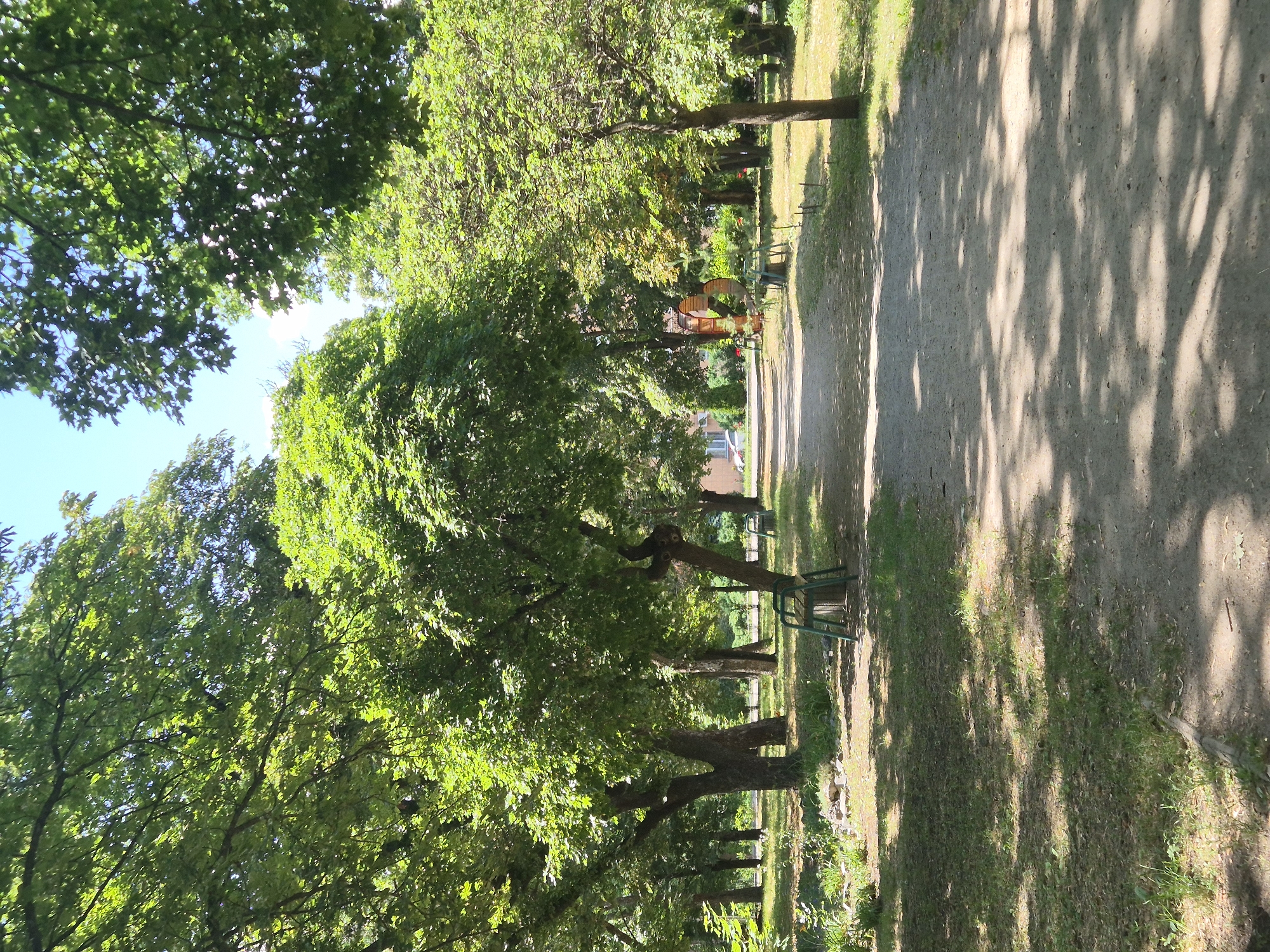 This media file depicts a serene park scene, likely taken in Sozonivka, Ukraine. The image is oriented vertically, presenting a pathway that curves through a lush green park. Tall trees with dense foliage line the left side of the path, their leaves casting dappled shadows on the sandy ground. The sunlight filters through the leaves, suggesting it is a clear, sunny day, possibly late morning or early afternoon given the angle of the shadows.
The pathway itself appears to be made of a light-colored gravel or dirt, with patches of grass growing along its edges. To the right of the path, more trees and grass are visible, creating a natural and inviting environment. In the distance, there are hints of other park features, including what appears to be a small, heart-shaped wooden structure, possibly an artistic installation or a decorative element. There are also a few green park benches visible, positioned along the path, suggesting the park is a place for relaxation and leisure.
The overall mood of the image is peaceful and tranquil. The vibrant green of the trees and grass, combined with the warm sunlight and the absence of any visible people, evokes a sense of calm and quietude. The image captures the beauty of nature in an urban or semi-urban park setting, offering a glimpse into a pleasant outdoor space. There is no visible text in the image.