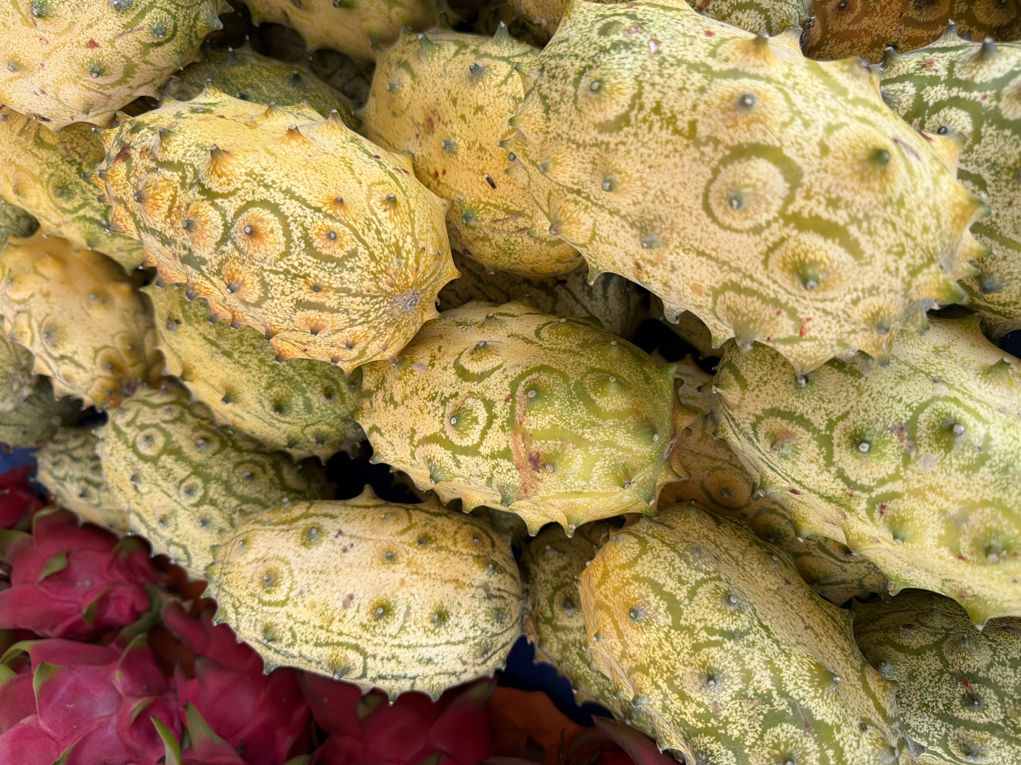 The image shows a close-up, overhead view of a pile of kiwano melons, also known as horned melons, at a market stall. The melons are oval-shaped with a thick, leathery rind that is yellow to orange with green stripes and numerous sharp, horn-like spikes. Some of the melons also have small, circular patterns on their rind. To the left of the melons, a small section of bright pink dragon fruit can be seen. The background is dark, suggesting a shaded area of the market. The lighting is natural and appears to be daylight. There are no people visible in the image. This scene is likely from a market in Kemer, Turkey, where such exotic fruits are often sold.