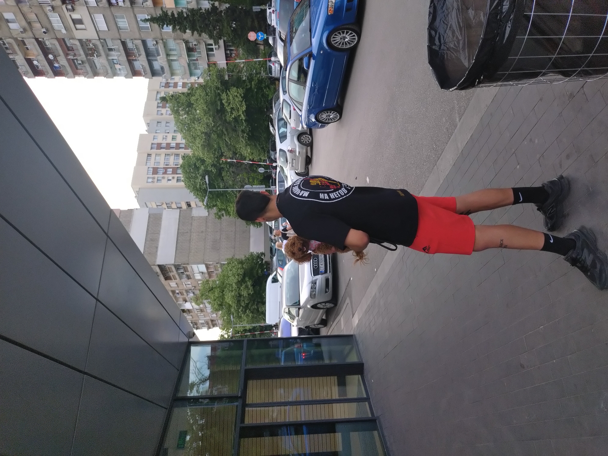The image captures an urban street scene in Stara Zagora, Bulgaria, during daytime, likely under overcast skies. The perspective is from behind and slightly to the right of a person.
The main subject is a young man, seen from the back and chest down. He is wearing a black t-shirt with a distinct circular emblem on the back, red athletic shorts, black socks with a white Nike logo on the left one, and black sneakers. He has a dark cap or hat on. He is holding a small, light brown, curly-haired dog, possibly a poodle mix, in his left arm. The dog appears to be wearing a small pink harness or shirt. The man has a tattoo on his right calf.
To the left of the frame, there's a modern building with dark, rectangular panels and reflective glass windows. The ground beneath the man's feet is paved with gray rectangular blocks, transitioning to asphalt further out where cars are parked. A prominent blue sedan (Audi A4 B6) is parked in a row of cars, followed by other white and silver vehicles, including what appears to be an Audi with a Bulgarian license plate "CT 4308 PB" (CT denotes Stara Zagora).
In the background, beyond the parked cars and lush green trees, stand several multi-story residential buildings, characteristic of the region. A traffic barrier and a street light pole are also visible further down the street. On the far right, part of a black mesh fence or structure can be seen.
Visible text includes "HA НЕГОВ" (HA NEGOV) on the man's t-shirt, likely part of a longer phrase such as "МАШИНА НА НЕГОВ" ("MACHINE OF HIS"). A tattoo on his right calf shows partial text like "ТАСК НА" (TASK NA). The white Nike swoosh logo is visible on his left sock. The overall scene depicts a casual outing with a pet in a typical Bulgarian city environment.