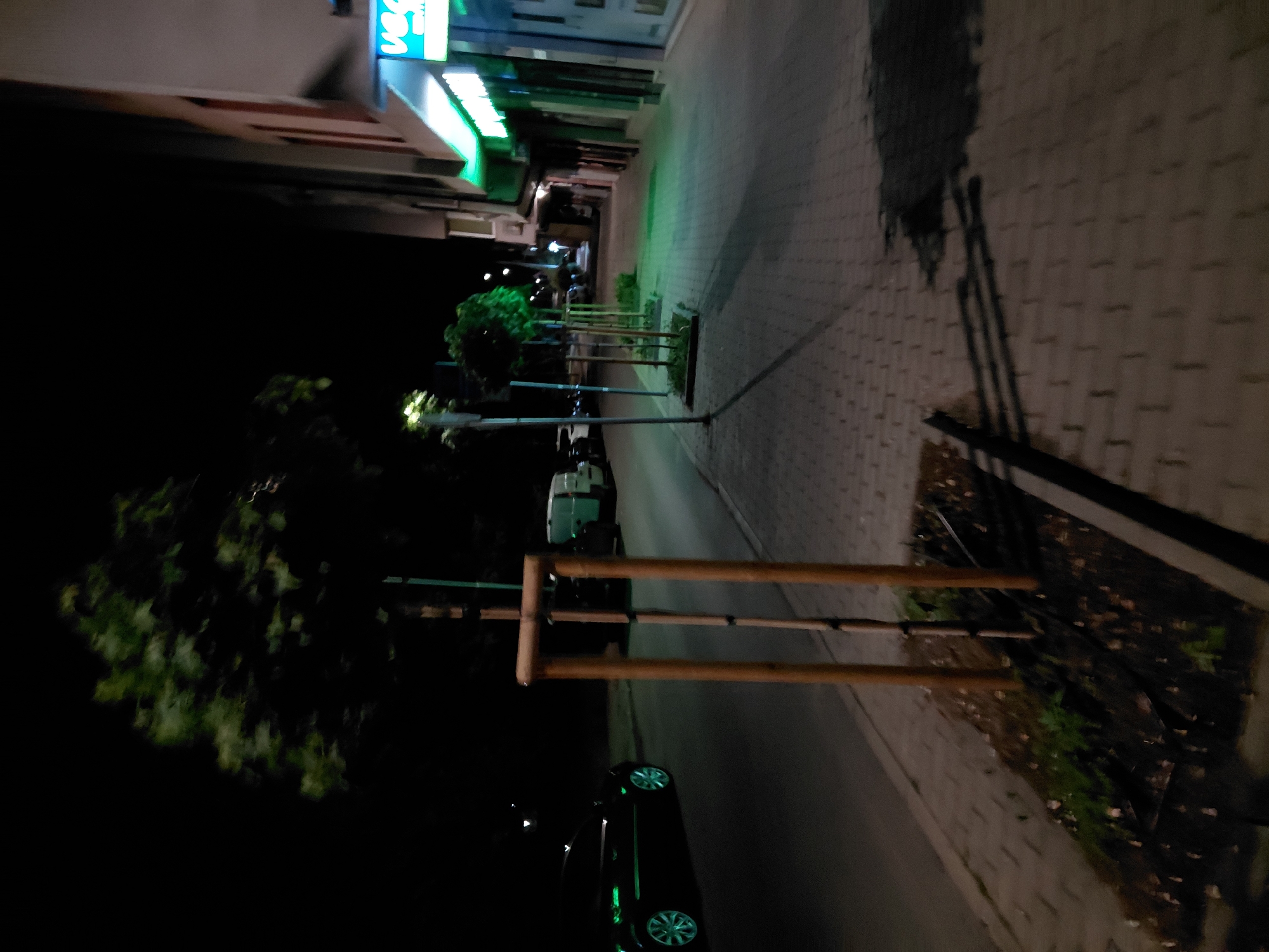 The image depicts a nighttime scene on a sidewalk in Plovdiv, Bulgaria. A black car is parked on the street to the left, with its headlights off. Several young trees, supported by wooden stakes, are planted in rectangular beds along the sidewalk. The sidewalk is paved with interlocking bricks and is illuminated by the green glow of a neon sign above a store entrance on the right. The store appears to be a commercial establishment, possibly a pharmacy or a small retail shop, with other businesses visible further down the street. The overall ambiance is that of a quiet urban street at night, with minimal activity.