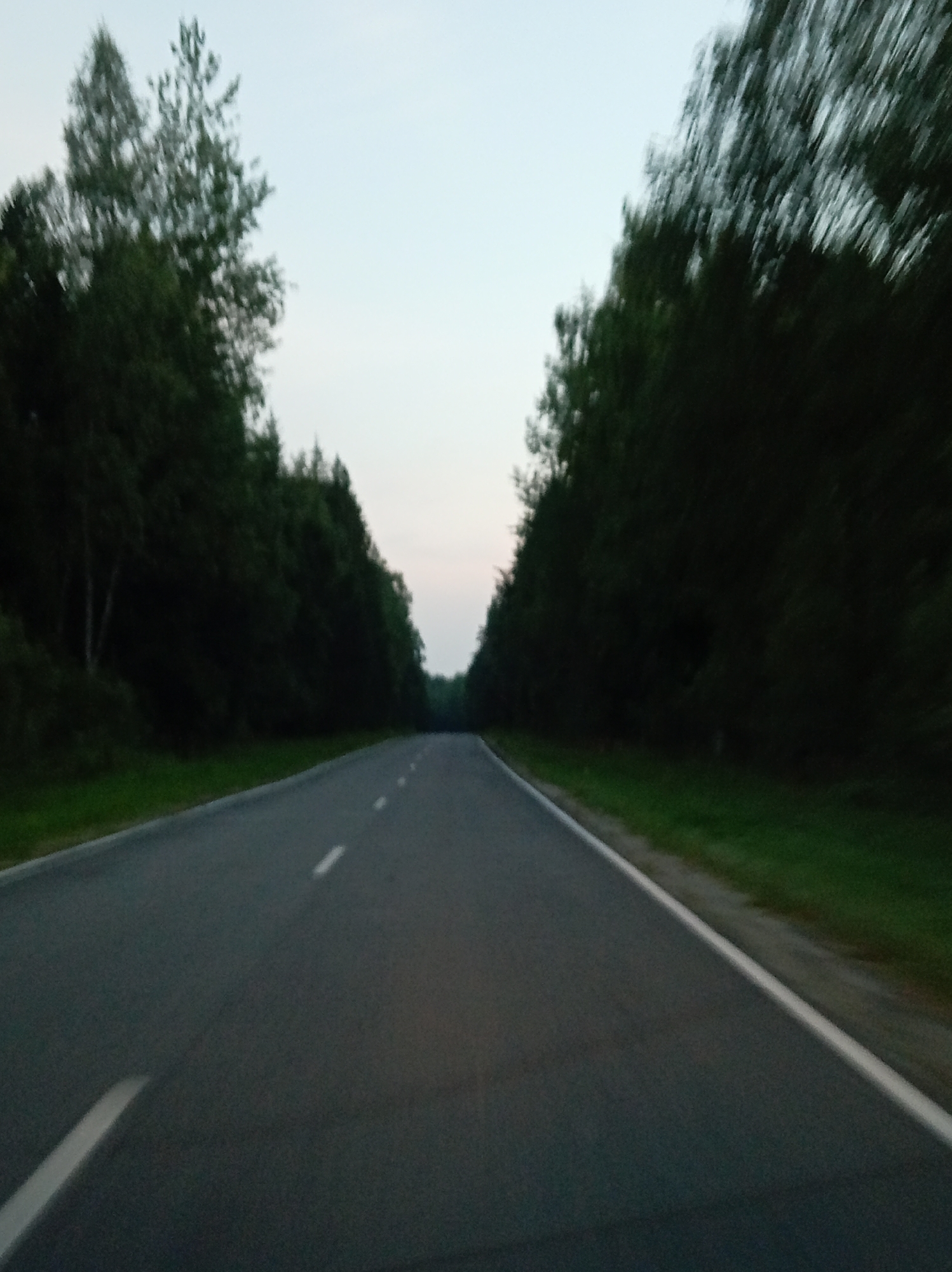 The image depicts a two-lane asphalt road with a dashed white line marking the center. The road is lined with dense, dark green trees on both sides. The sky is a pale, hazy blue, suggesting either early morning or late evening light. The perspective is from a moving vehicle, indicated by the slight motion blur in the trees. The scene appears to be a rural or semi-rural setting. No people or specific structures are visible. The location is identified as being in the city of Leskovo, Russia.