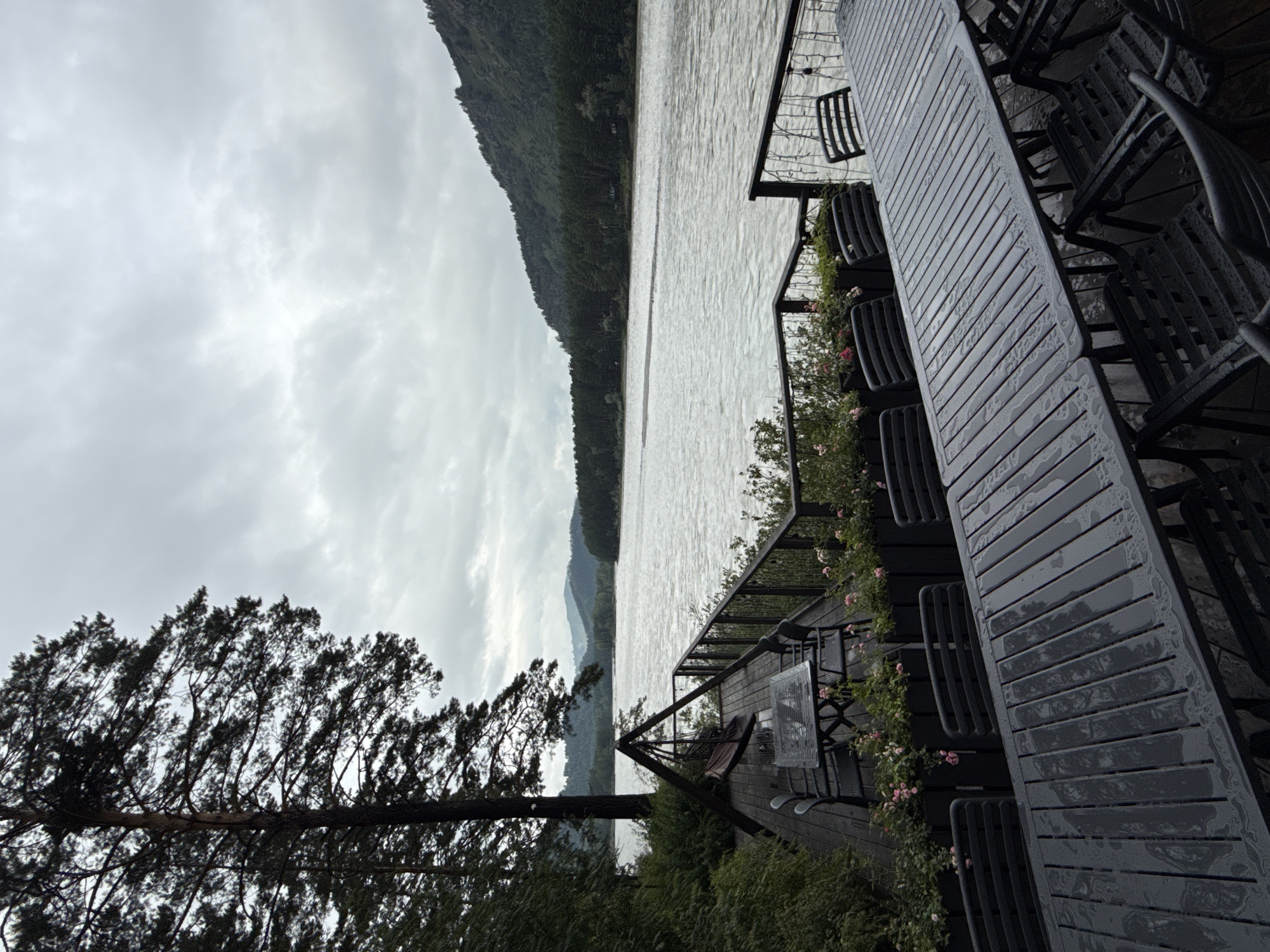 This image depicts an outdoor seating area with tables and chairs situated on a wooden deck next to a wide river. The weather appears overcast and possibly rainy, as evidenced by the wet surfaces of the tables and chairs and the gray sky. A large pine tree stands prominently on the left side of the frame, with its branches extending towards the sky. In the background, a forested mountain range flanks the river. The scene suggests a calm, natural setting, possibly a restaurant or cafe with an outdoor dining space. There are no people visible in the image. The location is identified as Nizhnekayancha, Russia.