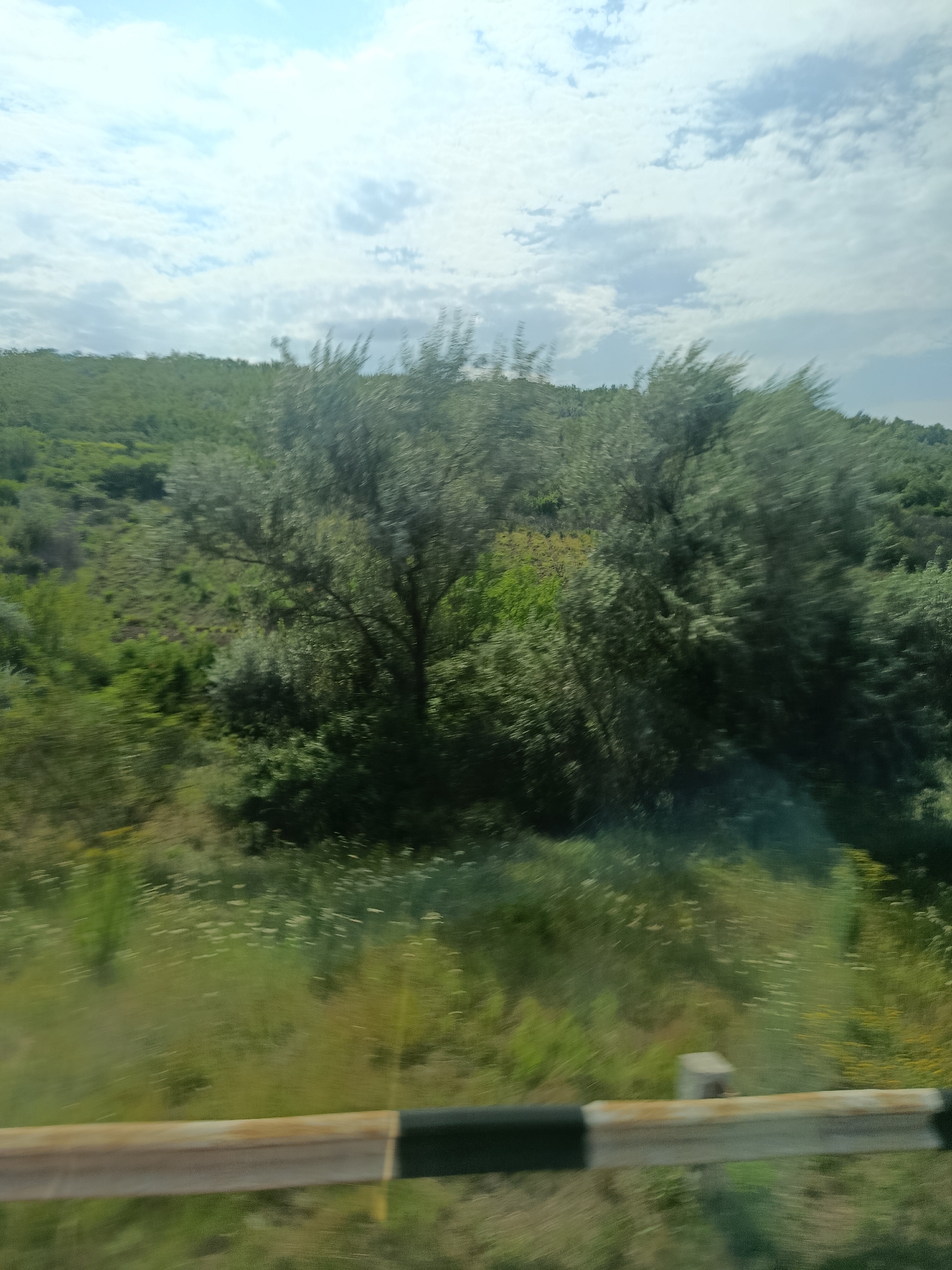The image shows a blurred view of a green, rolling landscape, likely taken from a moving vehicle. The foreground is dominated by a blurred guardrail with alternating black and white reflective bands. Beyond the guardrail, the terrain is covered with lush green vegetation, including trees and shrubs. The trees in the mid-ground appear to be leafy and deciduous, with some possibly being olive trees due to their silvery-green foliage. The background consists of more green hills stretching towards a sky filled with white, fluffy clouds. There are no people or animals visible in the scene. The overall impression is one of a natural, rural setting, possibly along a road in the outskirts of a town. Given the location is specified as Razeni, Moldova, the image depicts a typical rural or roadside landscape in that region.