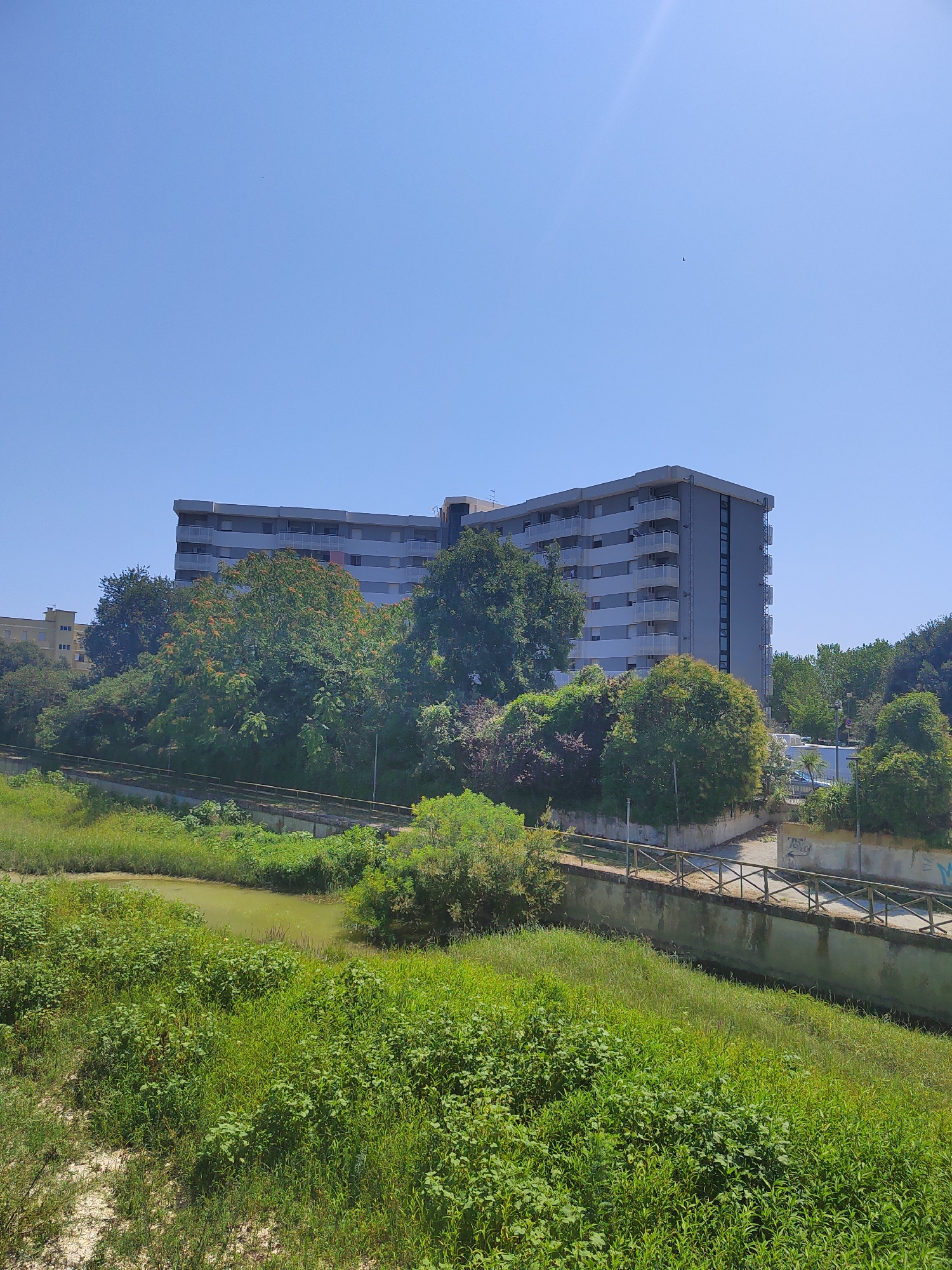 The image depicts a large, multi-story apartment building in Porto Recanati, Italy, situated behind a lush green embankment with a body of water in the foreground. The sky is a clear, bright blue. The building, which appears to be gray with white balconies, is surrounded by dense foliage, including trees with orange flowers. A pathway with a wooden railing runs along the top of the embankment, separating the vegetation from the building. The scene suggests a residential area with significant greenery, possibly bordering a park or natural watercourse.