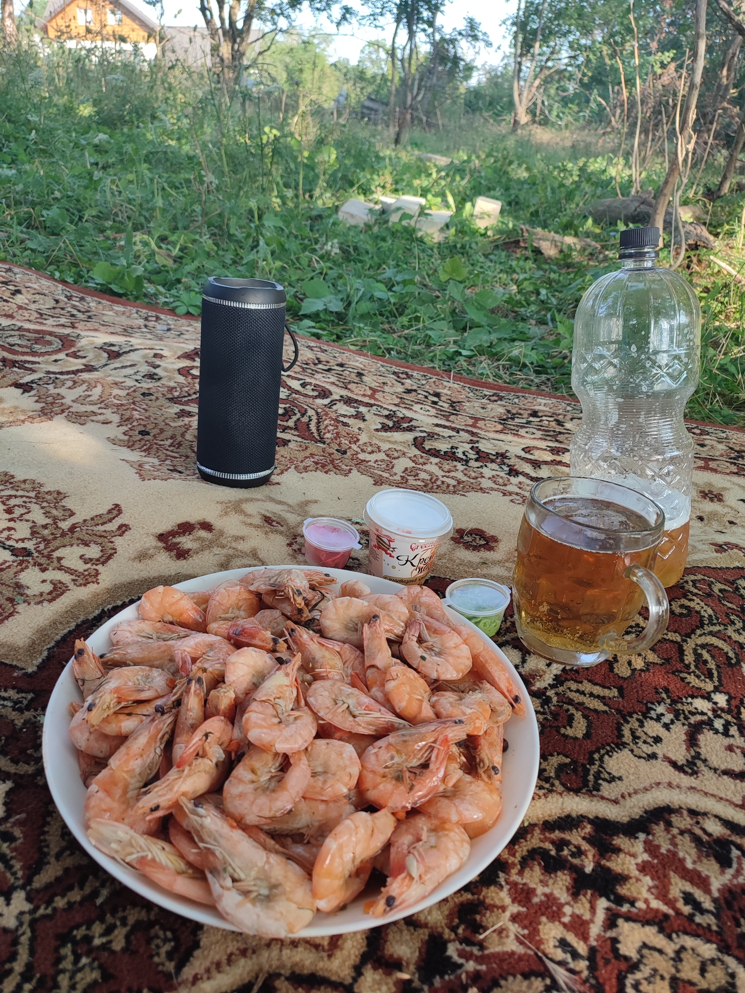 An outdoor picnic is set up on a patterned rug in a grassy area with trees and a house in the background. A large white bowl is filled with cooked shrimp. To the right of the bowl is a glass mug of beer, a large plastic bottle, and several small containers of sauce. A black portable speaker stands behind the bowl. The scene is set in Новомарьевская, Russia.