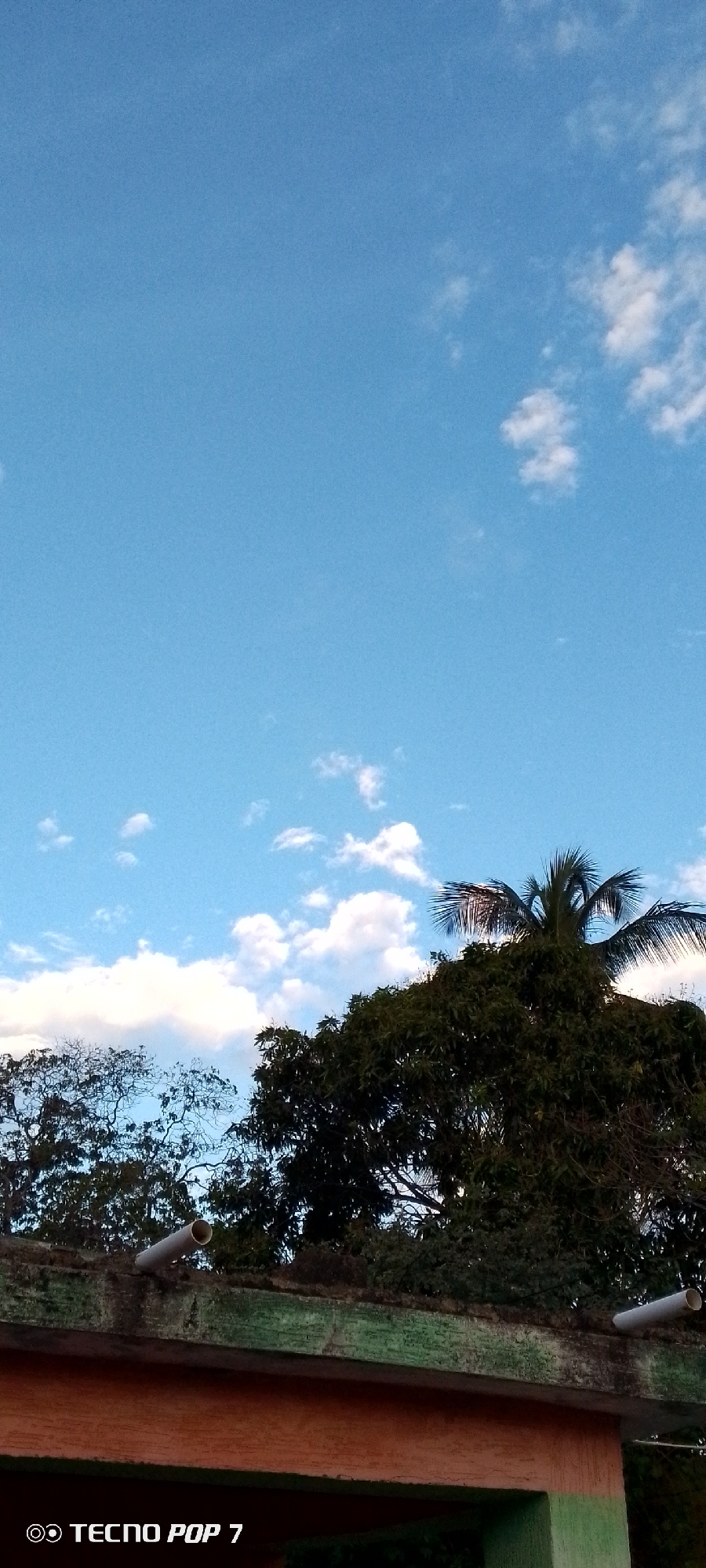 The image captures an outdoor scene featuring a vast expanse of clear blue sky with scattered white cumulus clouds, occupying the majority of the frame. Below the sky, a dense canopy of dark green trees fills the middle ground. On the right side, a tall tree with prominent palm-like fronds is visible, suggesting a coconut tree or similar tropical species. Another tree on the left has a more irregular shape with branches silhouetted against the sky.
In the lower part of the image, the top section of a building or concrete structure is visible. It features a flat surface covered in a weathered, mossy green layer over grey concrete. Below this, the wall is painted in an orange-brown hue, with a small green section appearing at the very bottom right. A light-colored PVC pipe extends horizontally from the structure on the right.
The scene depicts a peaceful, daylight moment, likely during the late afternoon or early morning, characterized by fair weather. There is no human activity present. The presence of tropical vegetation, such as the palm tree, aligns with the location context of Altagracia, Venezuela. A watermark displaying "TECNO POP 7" and a camera icon is visible in the bottom-left corner, indicating the device used for the photograph.