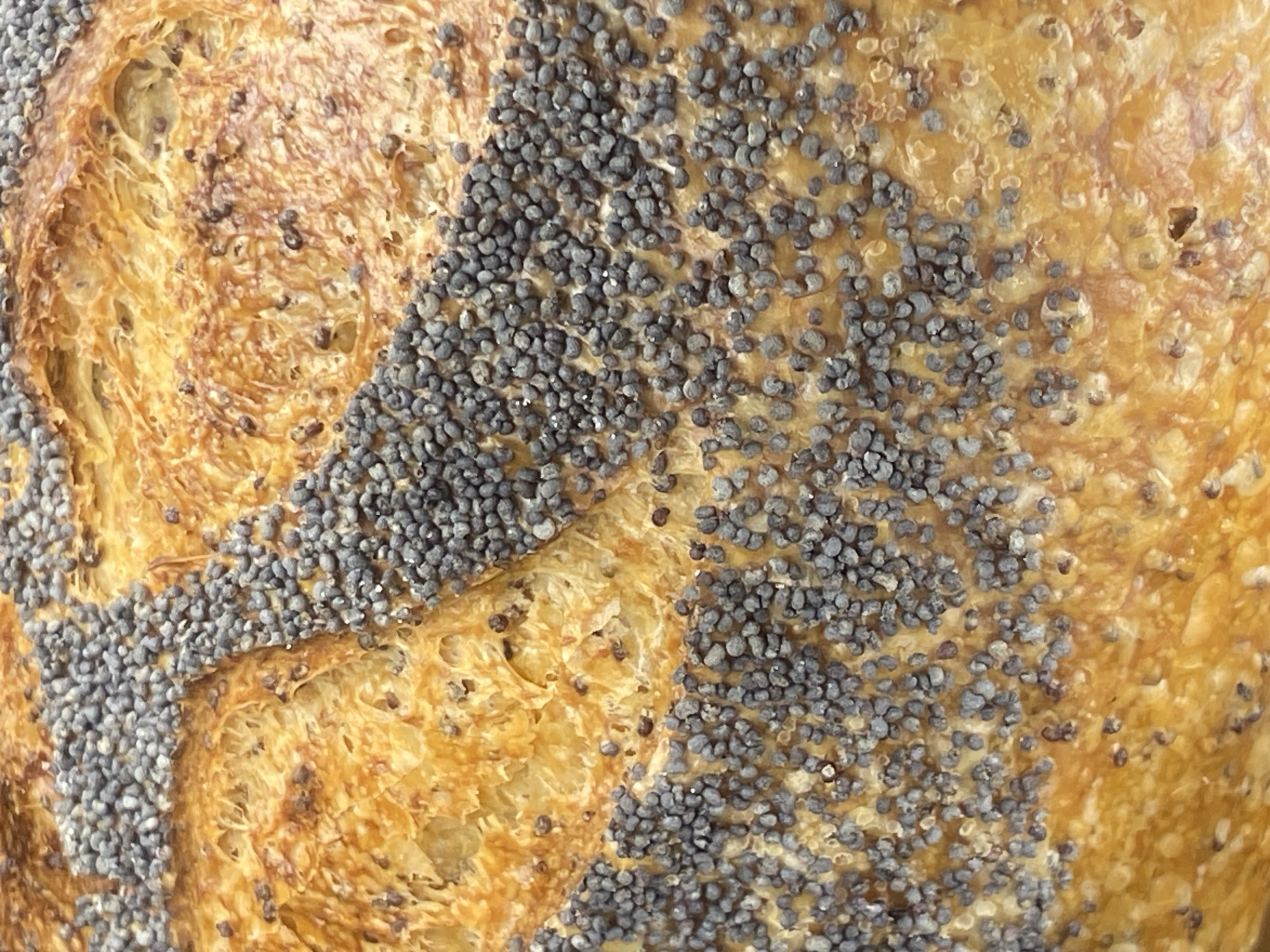 The image is a close-up, detailed shot of the crust of a loaf of bread, likely a rustic or artisanal variety, possibly from Warsaw, Poland. The bread has a golden-brown, textured surface with visible cracks and air pockets, indicative of a well-baked crust. Scattered across the surface are numerous small, dark gray poppy seeds, some adhering more densely in certain areas, forming patterns or clusters. The seeds are tiny and appear to be whole. The lighting is natural and diffused, highlighting the texture and color variations of the bread and seeds. There is no text visible in the image, nor are there any people or a broader scene depicted. The focus is solely on the tactile and visual qualities of the bread's surface.