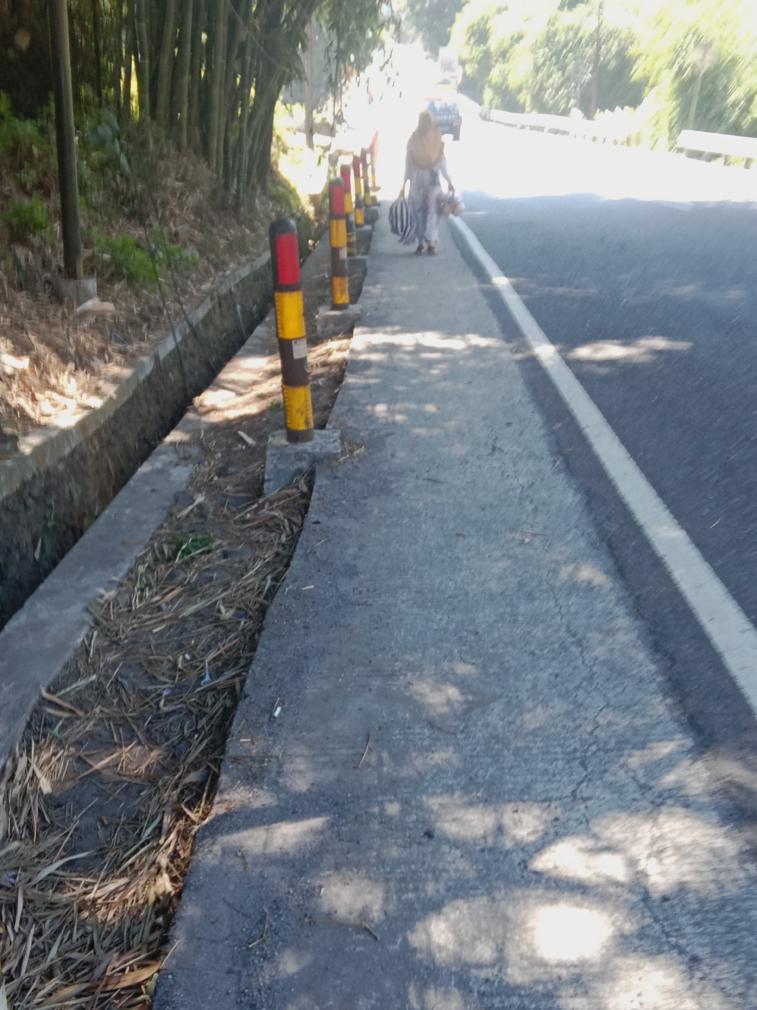 A person is walking on the side of a paved road in Reco, Indonesia. The person is carrying a striped bag and is wearing a headscarf. There are red and yellow striped bollards lining the side of the road, separating it from a drainage ditch filled with dry leaves and debris. A line of bamboo trees is visible on the left side of the image, and foliage can be seen on the right side of the road. The sun is shining, casting shadows on the road. A vehicle is visible in the distance on the road.