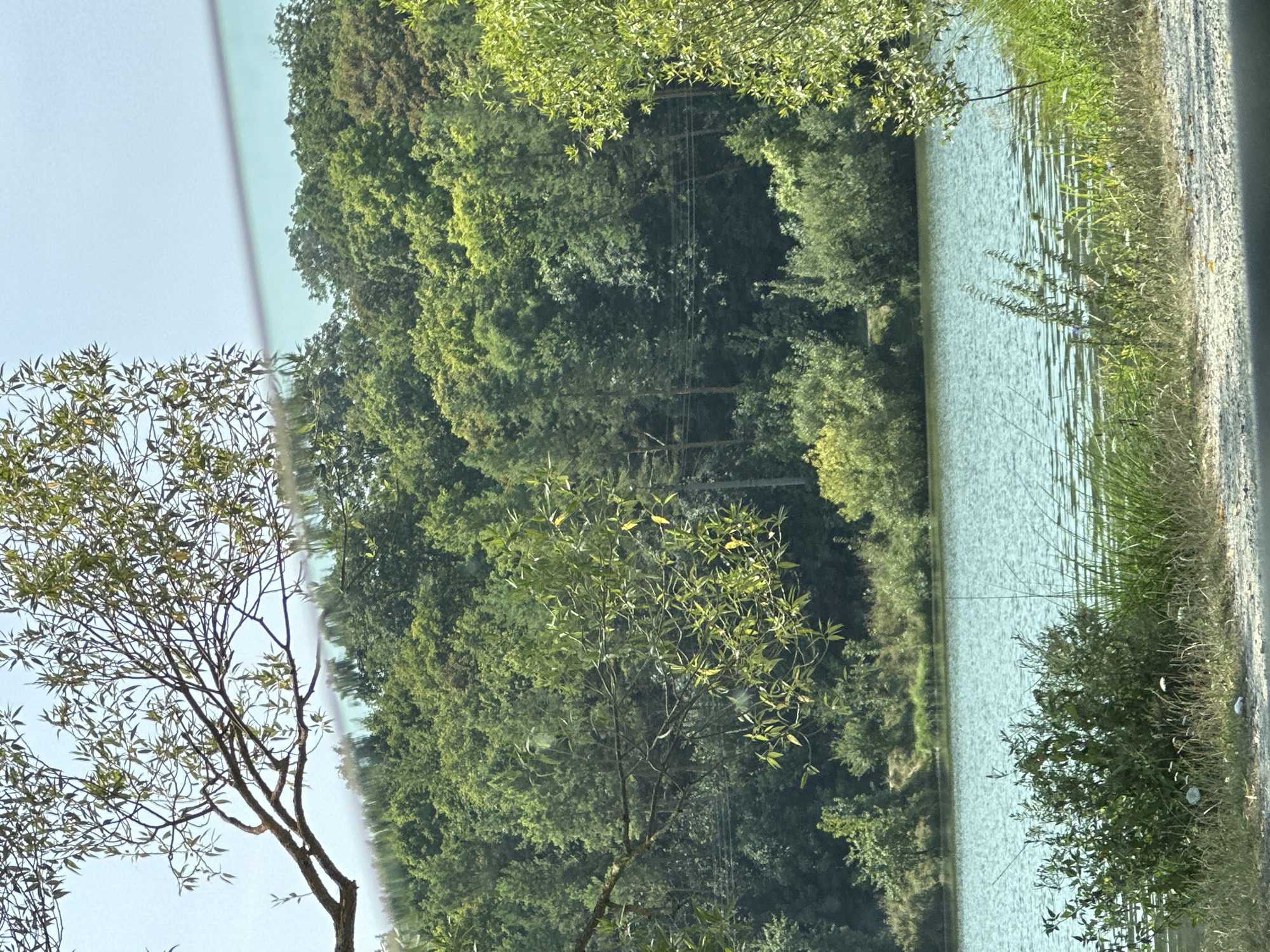 The image depicts a serene natural landscape, likely a lake or large pond, bordered by dense green forest. The water's surface is calm, reflecting the surrounding trees and the light blue sky. In the foreground, the shoreline is covered with lush green grass and various plants, with a gravel path visible at the very bottom of the frame. The forest behind the water is a mix of deciduous and coniferous trees, creating a rich tapestry of green hues. The overall impression is one of a peaceful, undeveloped natural setting. The location is identified as Makiv, Ukraine.