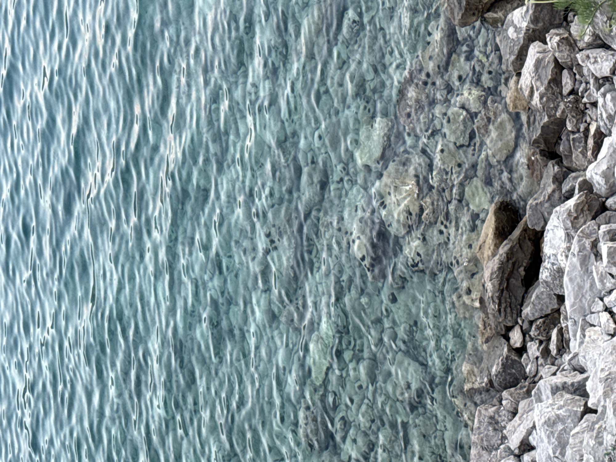 The image shows a rocky shoreline with clear, shallow water. The water is a turquoise color and the seabed is visible, covered with stones and some darker objects that might be sea urchins. The rocks in the foreground are varied in size and texture, with some appearing smoother and lighter in color, while others are darker and more rugged. The scene is likely located in Boreti, Montenegro, a coastal area known for its clear waters and rocky beaches. There are no people or visible actions in the image. The environment is natural and serene, focusing on the textures and colors of the water and the rocky coast.