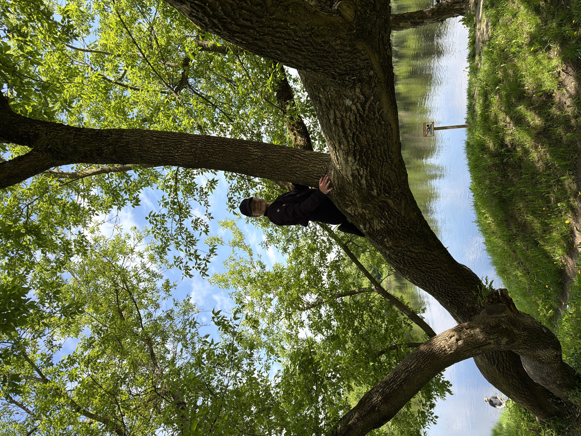 A person wearing a black jacket and a black baseball cap is sitting on a thick tree branch. The tree is surrounded by green leaves and branches, with a glimpse of the sky visible between the leaves. In the background, there is a body of water, possibly a lake or river, with a sign on the shore. The surrounding area appears to be a park or natural setting, with grass and greenery visible along the water's edge. The location is the city of Unknown, Unknown.