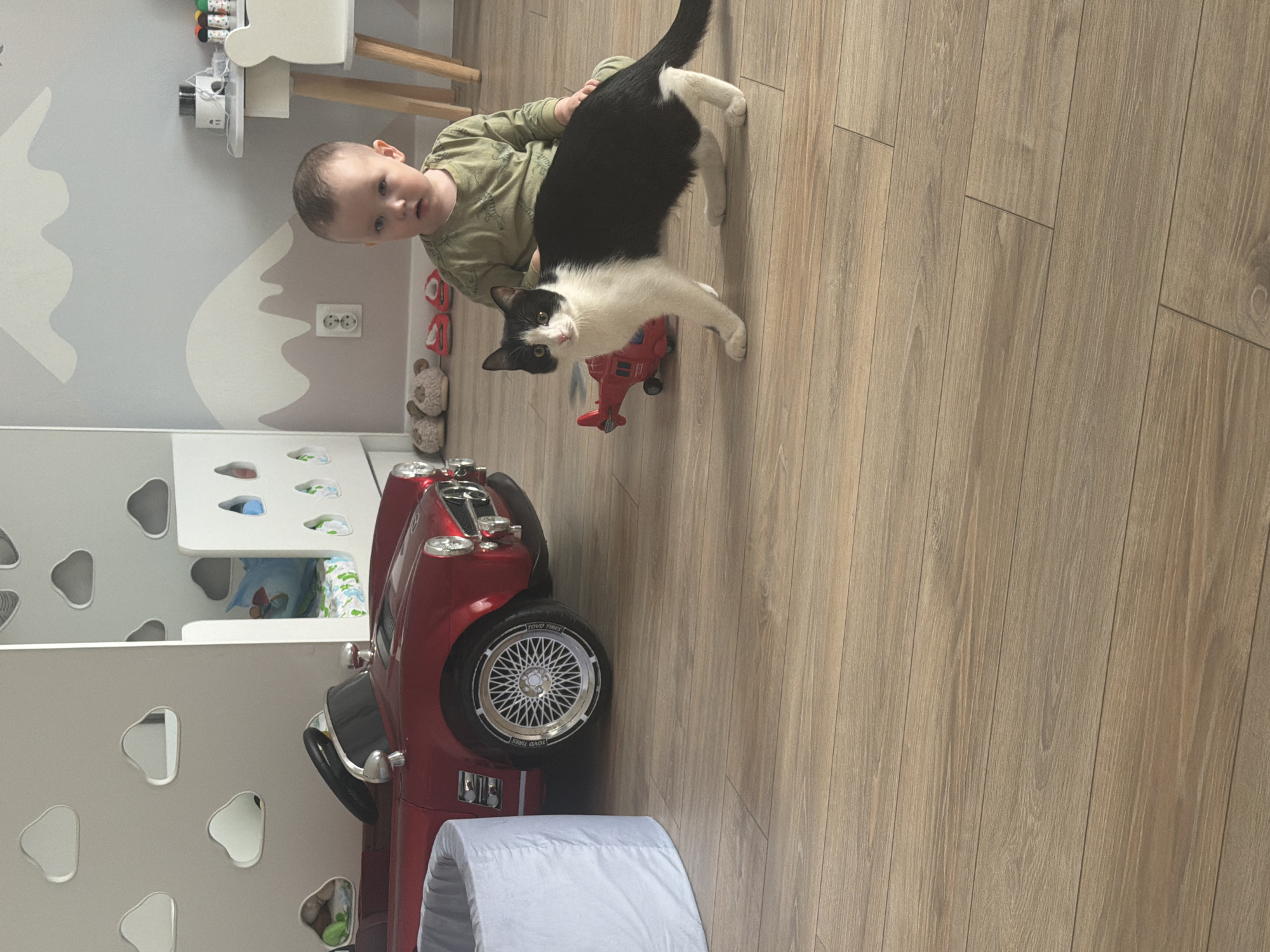 A young child in a green shirt is holding a black and white cat. The cat is standing on a red toy airplane. The cat and airplane are near a red toy car. The scene takes place on a light brown wooden floor. In the background, there is a wall decorated with mountain and cloud designs. There is a white table and chair, and a white shelf with holes, with some items visible inside. The location appears to be a child's playroom. Chaikovsky, Russia is not visibly discernable from the image.