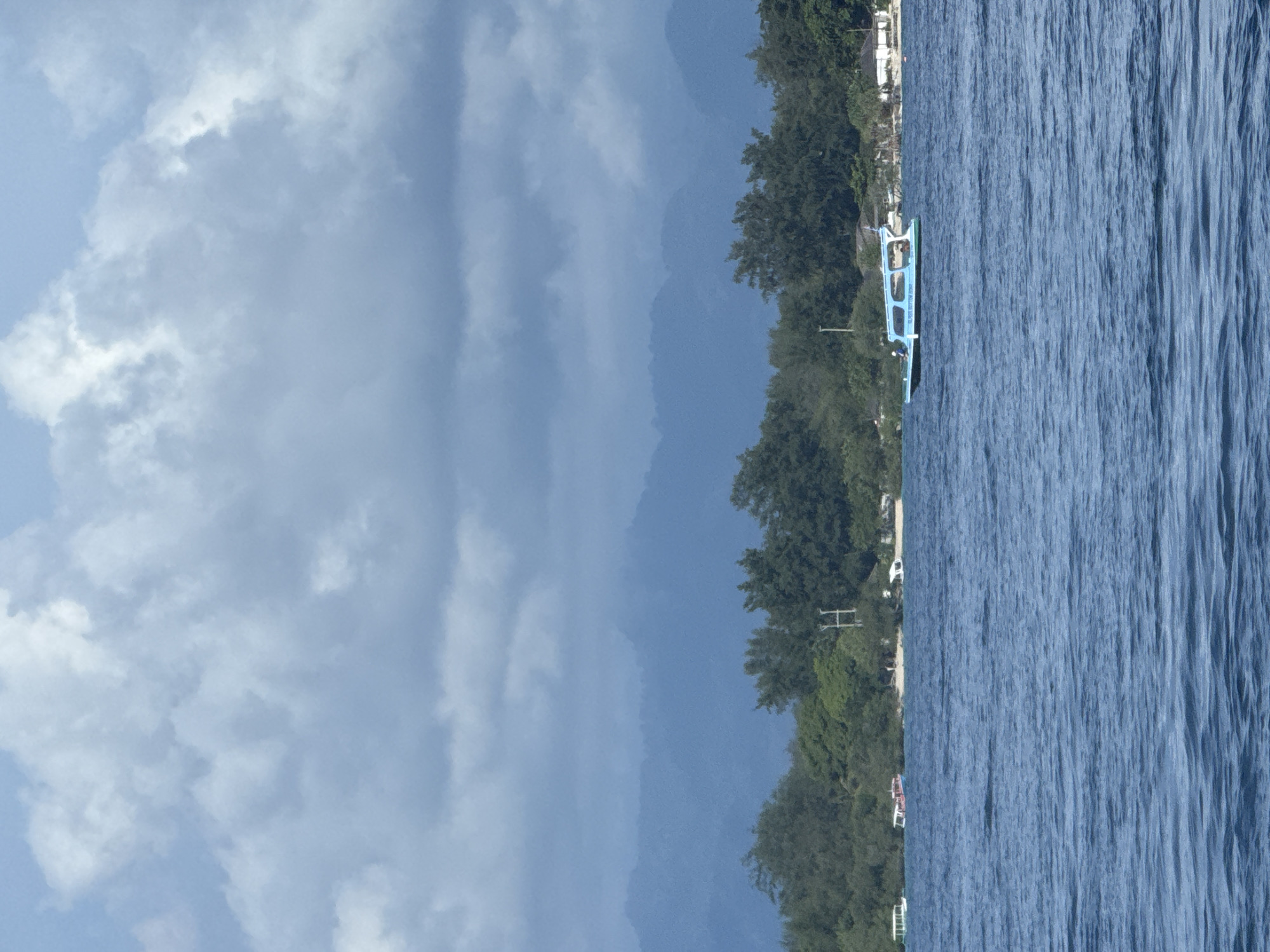 The image depicts a serene waterscape with a lush, green shoreline under a cloudy sky. The photograph is oriented vertically, with the sky on the left, land and horizon in the middle, and a body of water on the right, suggesting it should be viewed horizontally.
In the upper portion of the corrected orientation, a light blue sky is filled with soft, puffy white and grey clouds, indicating a cloudy but bright day. The middle section features a strip of land densely covered with green trees, likely tropical foliage. Behind this tree line, hazy blue mountains or hills rise, blending into the distant sky. Several white buildings or structures are partially visible along the shore, nestled among the trees. Utility poles or wooden posts can also be seen.
The lower portion of the image shows a calm body of water, possibly a lake or a sheltered sea. The water is a deep blue-grey, with visible ripples or small waves across its surface, reflecting the overcast light. A small, light blue boat, possibly an outrigger or a similar leisure vessel, is floating in the water near the shoreline. It has a white canopy structure. Visible text on the side of the boat clearly reads "GLASS BOTTOM BOAT". No distinct human figures or activities are prominently visible. The overall scene suggests a peaceful, natural setting, consistent with the provided location context of Indonesia.