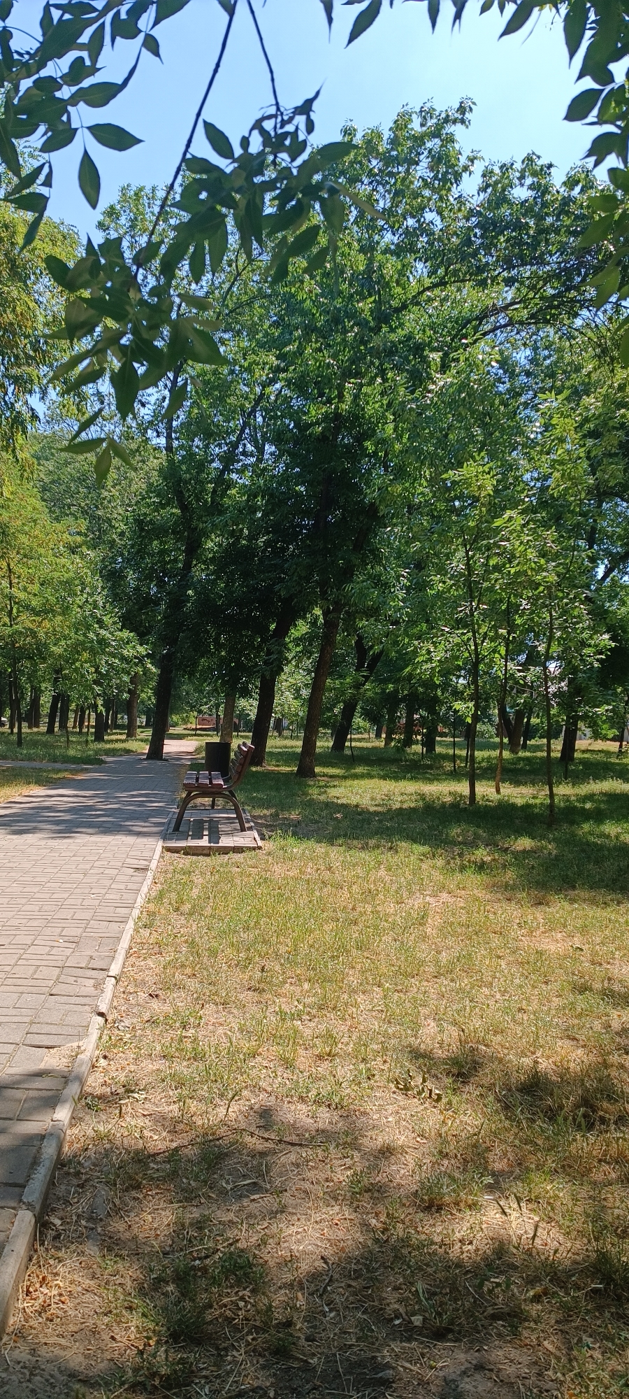A paved pathway curves through a sun-dappled park in Zaporizhzhia, Ukraine, lined by mature trees with lush green foliage. A solitary park bench, made of dark wood and metal, sits on a patch of dry grass next to the pathway, its back facing away from the camera. The ground is a mix of dry grass, dirt, and scattered leaves, with shadows cast by the overhead branches creating a dappled effect. The sky is clear and blue, indicating a sunny day. No people are visible in the scene.