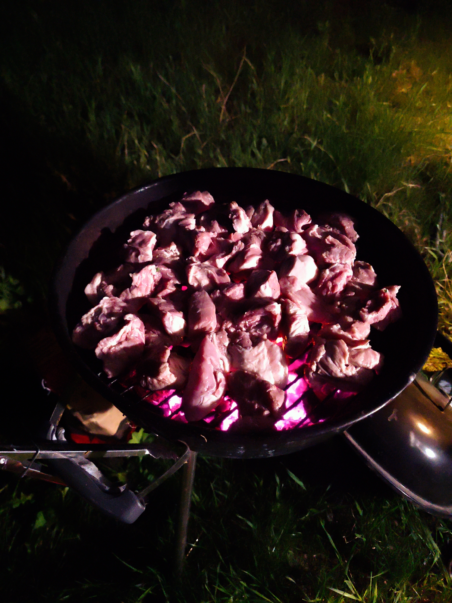 A grill, likely a charcoal grill due to the visible glowing embers, is positioned on grass, possibly at night given the dim lighting. The grill is filled with what appears to be cut pieces of raw meat, illuminated from below by the burning coals. The grill is situated in an outdoor setting, with green grass visible around it. The scene seems to be illuminated by the heat of the grill and perhaps an external light source. The lid of the grill is visible to the side. There are no people visible in the frame. The location, Свистуха (кузяевский С/о), Russia, cannot be confirmed from the image alone; the location is not discernible from the available visual information.