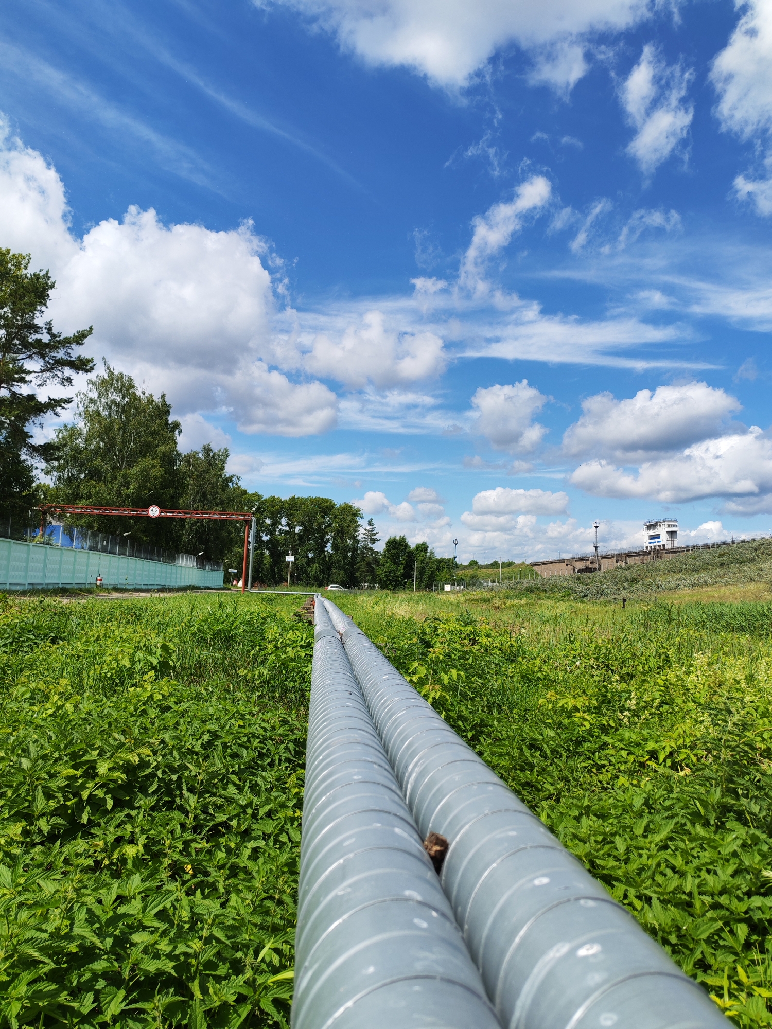 The image depicts an outdoor scene on a bright, sunny day with a blue sky filled with white, fluffy clouds. In the foreground, two large, corrugated grey pipes run diagonally from the bottom right corner of the frame, extending into the distance. The pipes are set in a field of lush, green vegetation, including tall grass and leafy plants, which fills the lower half of the image.
In the midground, a light blue fence runs horizontally across the frame, with a red gantry-like structure overhead. The gantry has a circular sign with the number "4.5" inside a red circle and a black bar, likely indicating a height restriction. Beyond the fence, a line of trees with dense green foliage forms a backdrop. To the far right of the midground, a white, multi-story building with windows and a tower-like structure sits atop a grassy embankment.
The scene appears to be located in an industrial or utility area, possibly near a waterway given the structure in the background which resembles a dam or pumping station. The presence of the pipes suggests infrastructure for transporting fluids or gases. The overall environment is natural and somewhat wild, with the man-made structures integrated into the landscape. The location in the city of Chaikovsky, Russia, is indicated by the context provided.