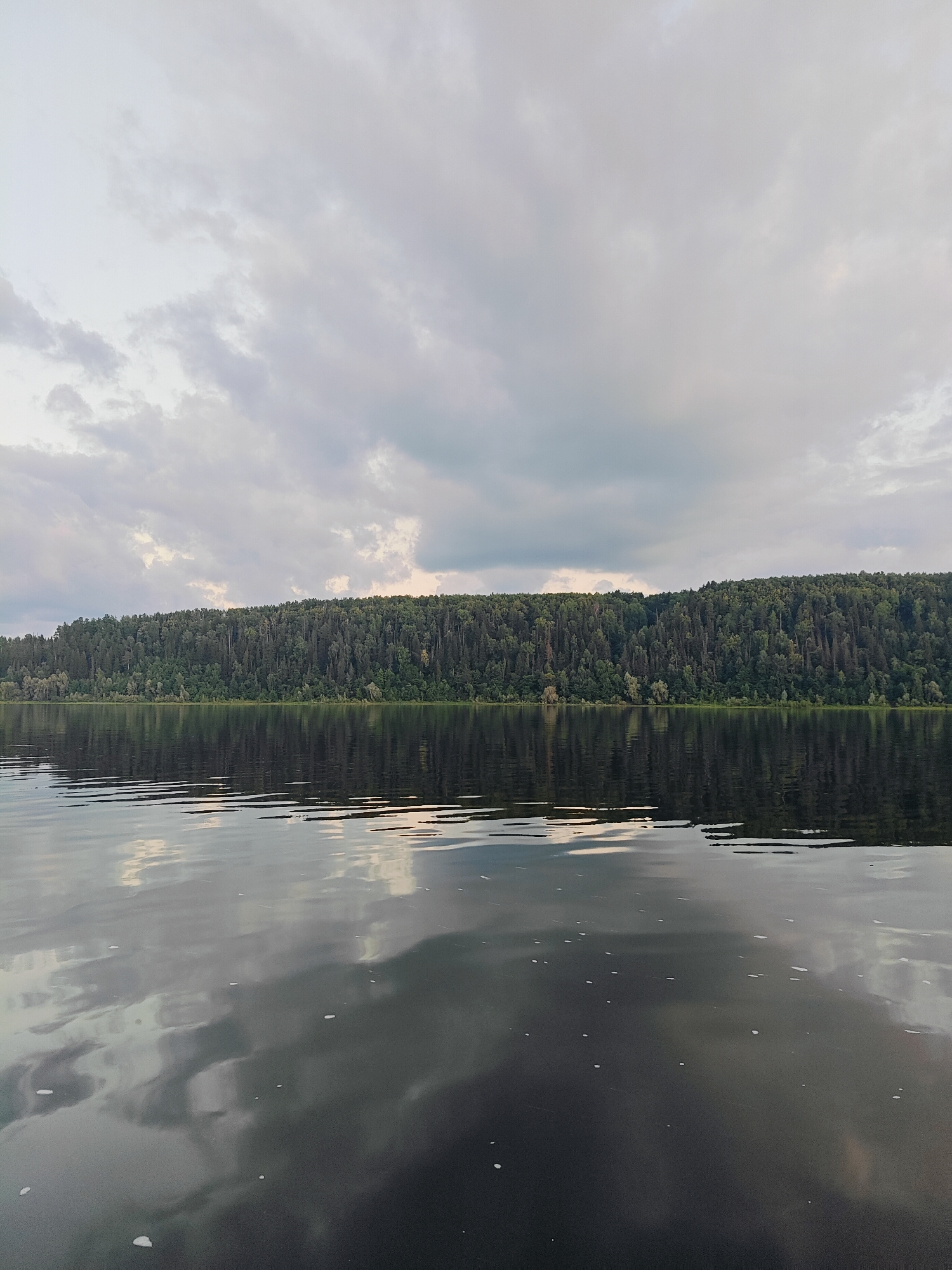 The image depicts a serene natural landscape featuring a wide body of water in the foreground, reflecting a dense, green forest that stretches across the horizon in the background. The sky above is overcast with clouds, suggesting a temperate climate. The water's surface is slightly rippled, creating a distorted but clear reflection of the forest and sky. There are no people or man-made structures visible in the scene, emphasizing its pristine, untouched quality. The overall impression is one of tranquility and natural beauty. The location is identified as Ol'khovskoye, Russia.