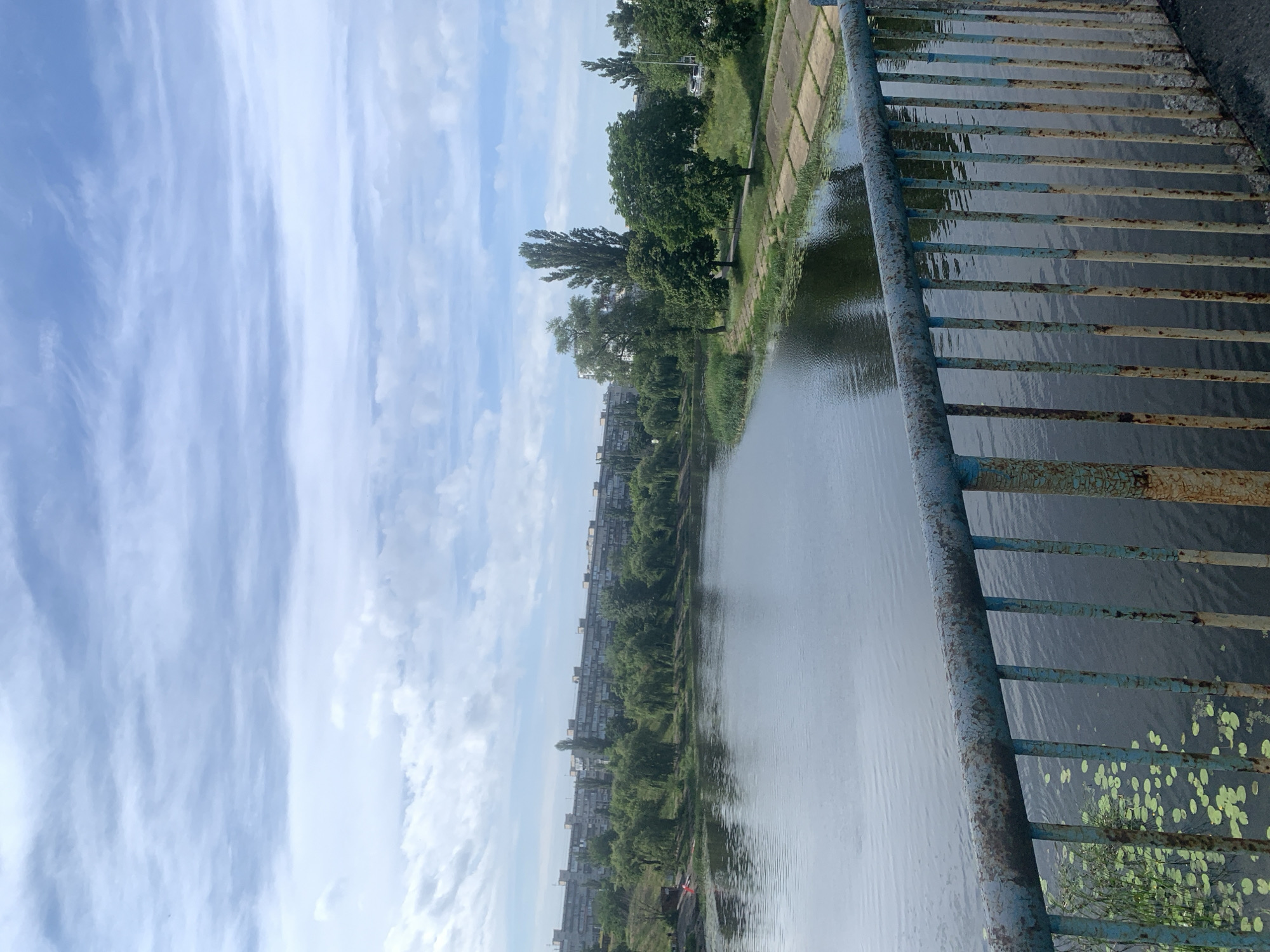 The image shows a view of the Dnipro River in Kyiv, Ukraine, from a bridge. In the foreground, a rusty blue metal railing runs horizontally across the bottom of the frame. Behind the railing, the dark, still water of the river occupies the lower half of the image, with patches of lily pads visible near the left bank. The river banks are lined with lush green trees and vegetation. Across the river, a long, low-rise apartment building stretches along the horizon, indicative of Soviet-era architecture common in many Ukrainian cities. Beyond the apartment building, the sky is a pale blue with wispy white clouds. The overall scene depicts a tranquil urban landscape with a focus on the river and its surroundings. There are no people or animals visible in the image.