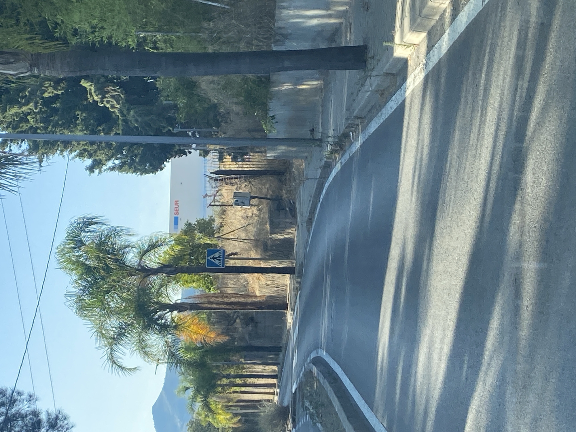 The image shows a road in Estepona, Spain, curving to the left, with palm trees lining the right side. A pedestrian crossing sign is visible on a pole. In the background, a white building with the word "SEUR" in blue letters is situated behind a fence. The road is paved and has white markings. The sky is clear and blue, indicating a sunny day. Shadows from trees are cast across the road. The environment appears to be an urban or semi-urban area, likely near an industrial or commercial zone given the building.