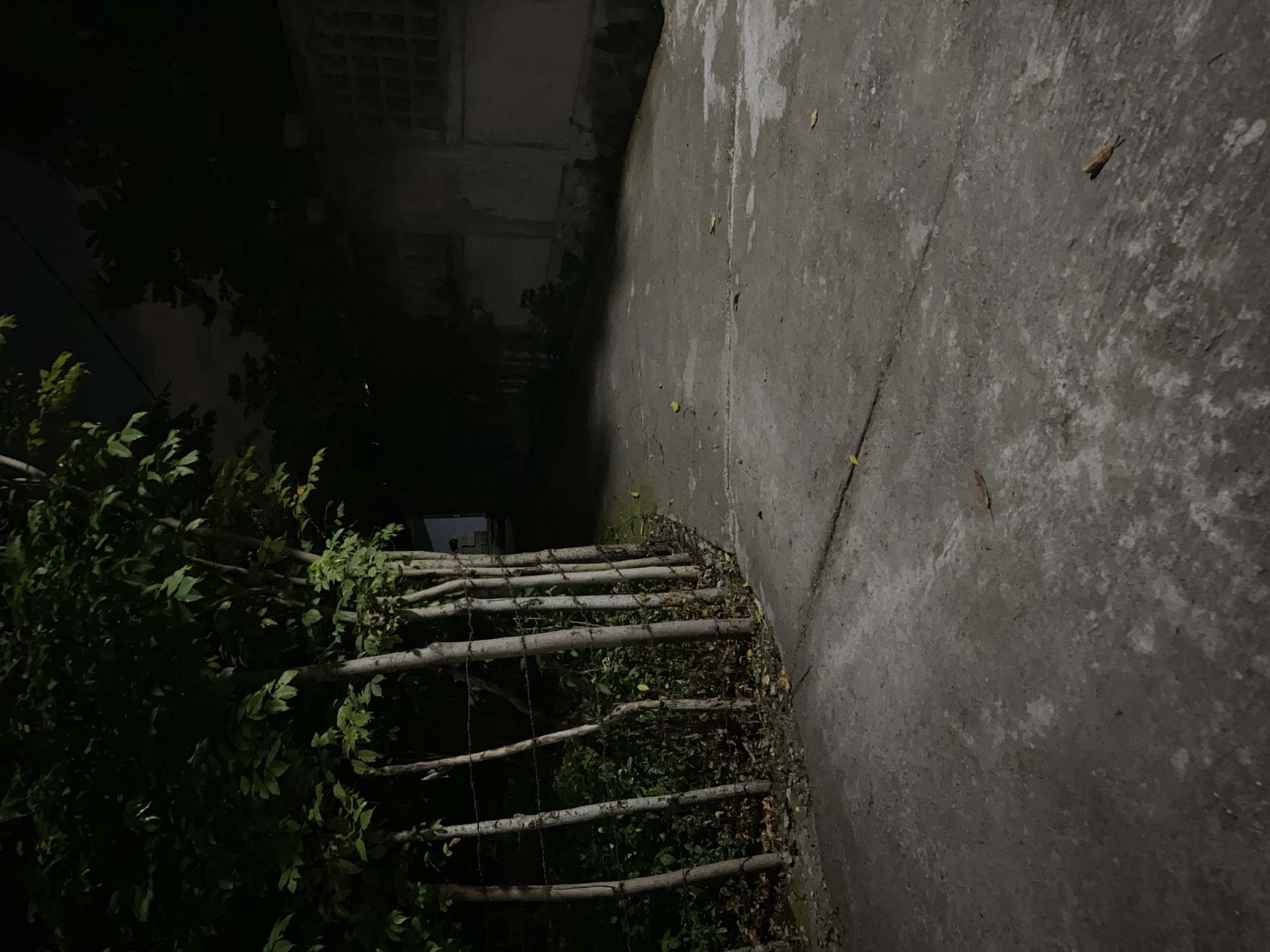 This is a nighttime, eye-level, medium shot of a concrete path bordered by a row of slender trees on the left and a weathered wall on the right. The trees are planted closely together, appearing to form a natural fence, with barbed wire strung between them. The concrete path is textured with cracks and faint leaf litter scattered across its surface. To the right of the path, a wall constructed of grey concrete blocks with a grid pattern is visible. The background is dark, with the faint outline of trees and structures obscured by shadow. The lighting suggests it is nighttime, possibly illuminated by a dim artificial light source off-camera. The scene appears to be an outdoor pathway in a semi-urban or rural setting.