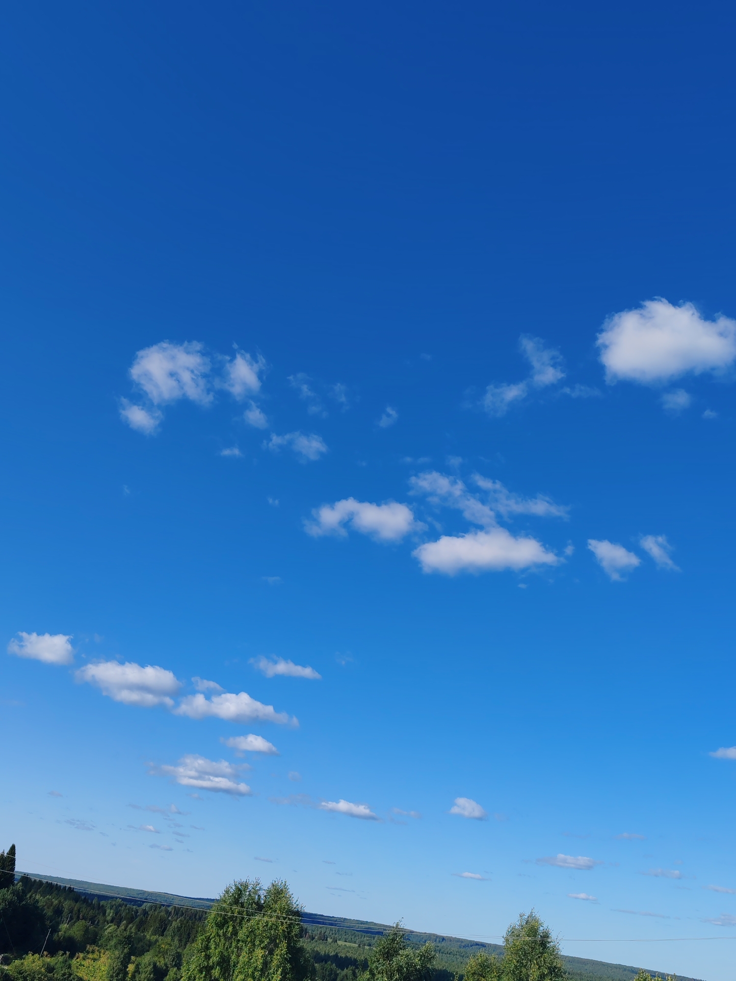 The image displays a bright blue sky with scattered white cumulus clouds. Below the sky, a dense, dark green forest stretches across the horizon, interspersed with lighter green foliage, indicating deciduous trees. A few individual trees with bright green leaves are visible in the foreground, closer to the viewer. The terrain appears gently sloped. The scene is devoid of any human presence or discernible human activity. This is likely a rural or natural landscape, potentially in the vicinity of Чухлэм, Russia, given the type of vegetation and the vast, open sky often associated with such regions.