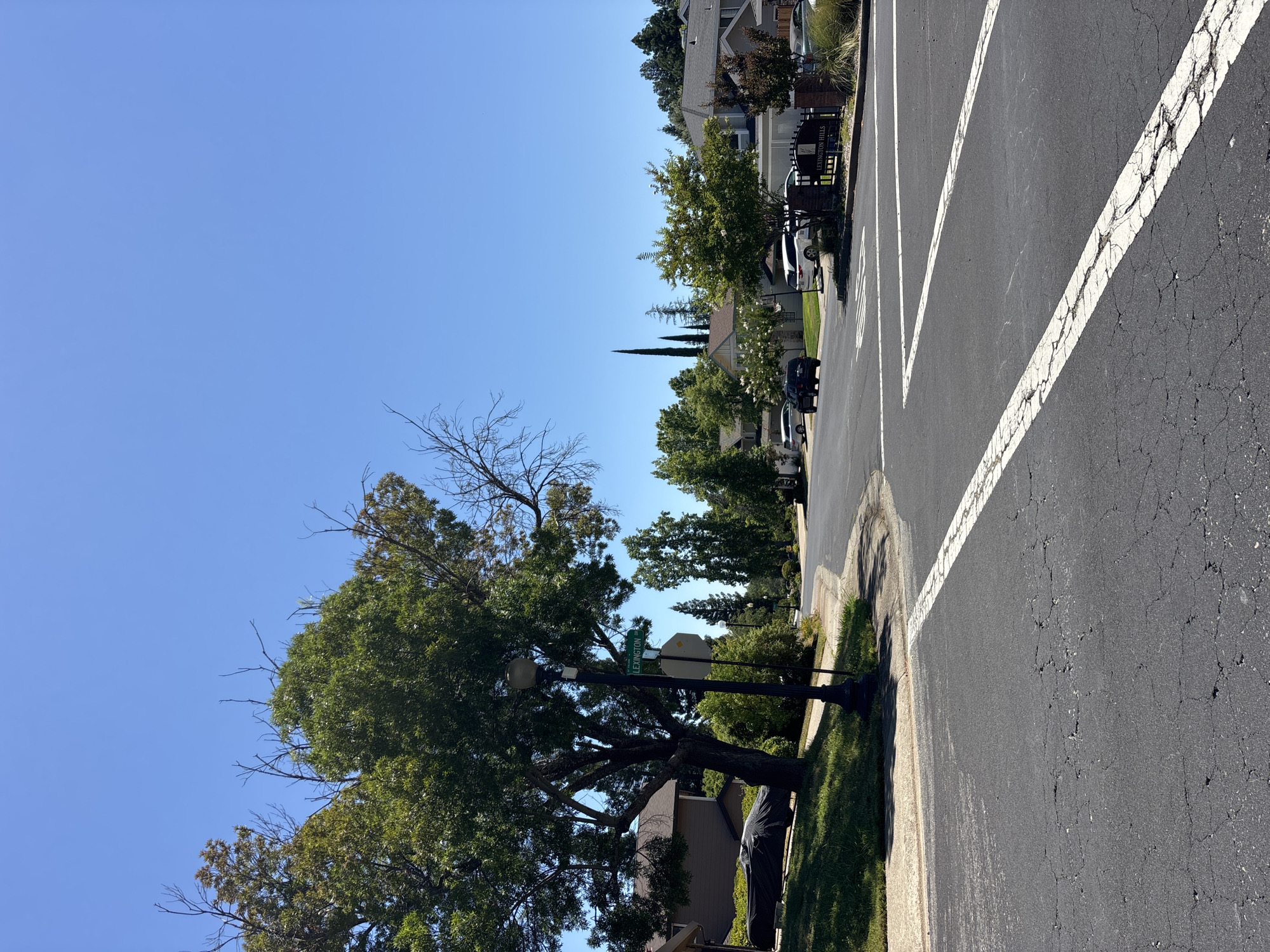 The image depicts a clear, sunny day in a residential neighborhood, likely in Folsom, California, USA, given the architectural style and vegetation. In the foreground, a cracked asphalt road with white lane markings is visible, suggesting it is an intersection. To the left, a large tree with green foliage stands beside a lamppost displaying a "LEXINGTON" street sign. A dark-colored vehicle is parked on the grassy slope to the left, partially covered by a black tarp.
Further down the road, several houses with gabled roofs and light-colored siding are visible, surrounded by lush green trees and landscaping. A sign with "LEXINGTON HILLS" inscribed on it is positioned near the entrance to a community. A black SUV and a white minivan are parked in the driveways of some of the houses, and another white SUV is visible on the street. The sky is a vibrant, cloudless blue, and the overall environment appears peaceful and suburban.
